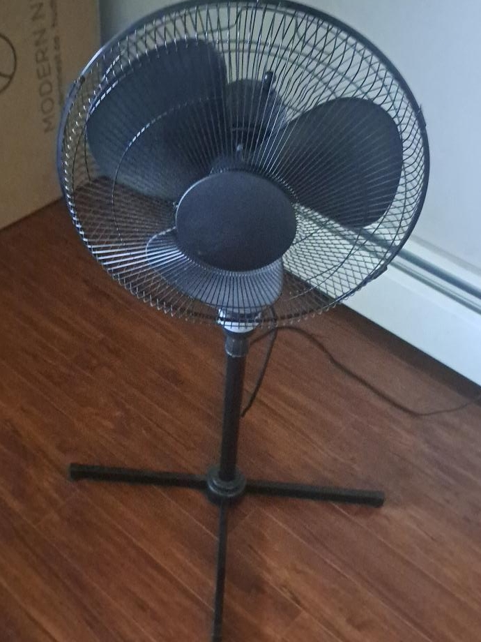 Standing Fan thumbnail