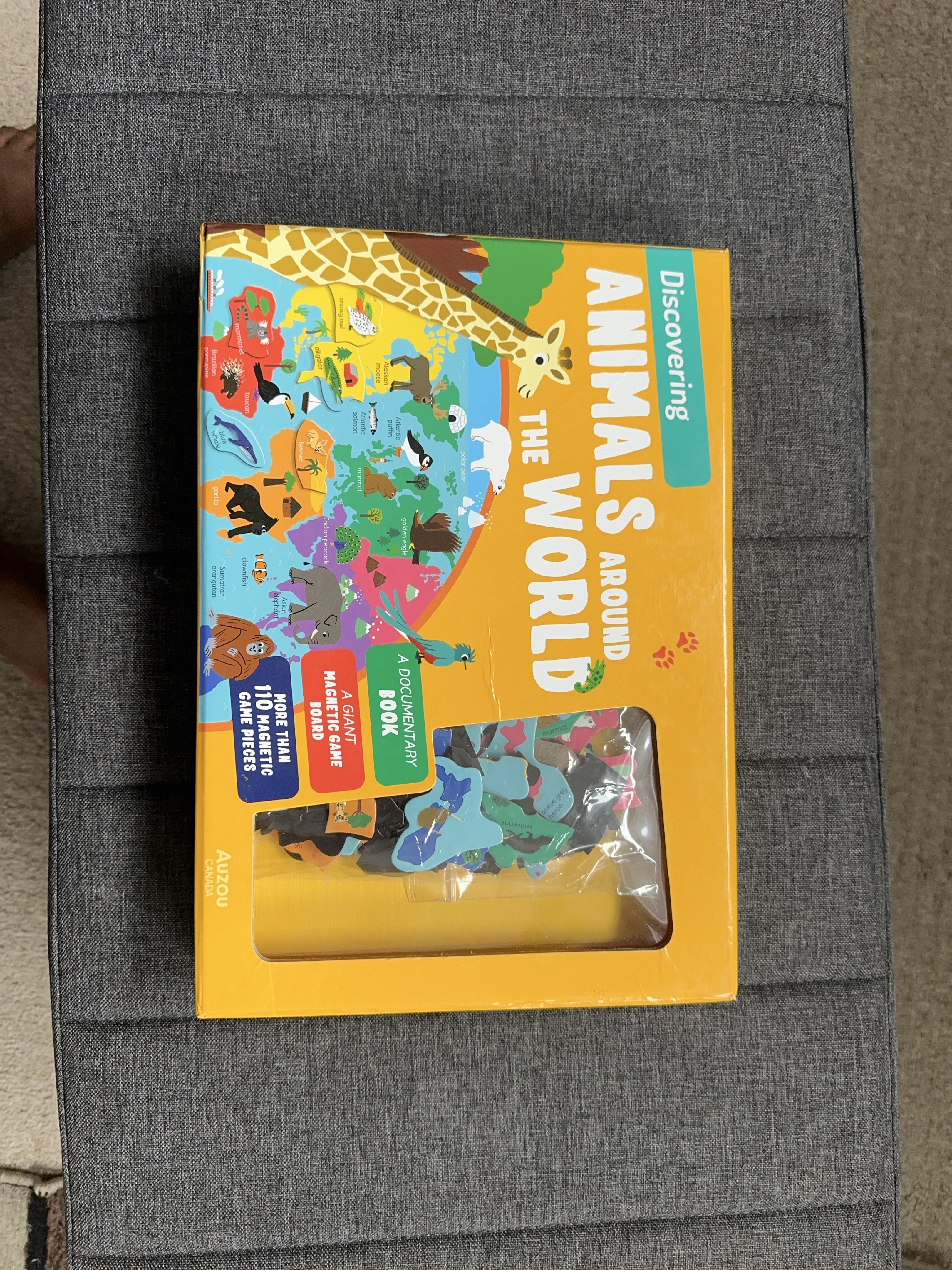 Animals Around The World Educational Game thumbnail
