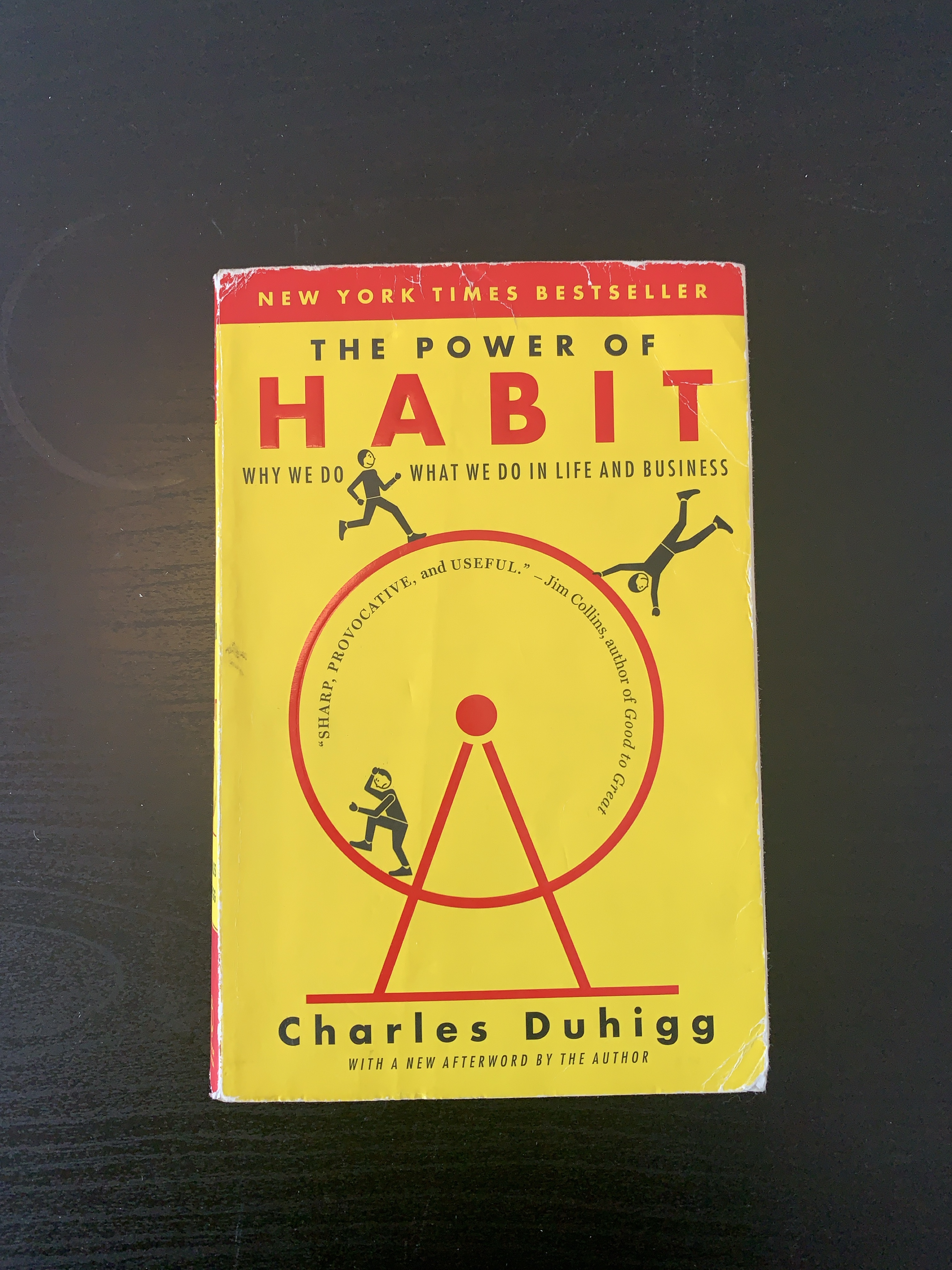 The Power of Habit Book