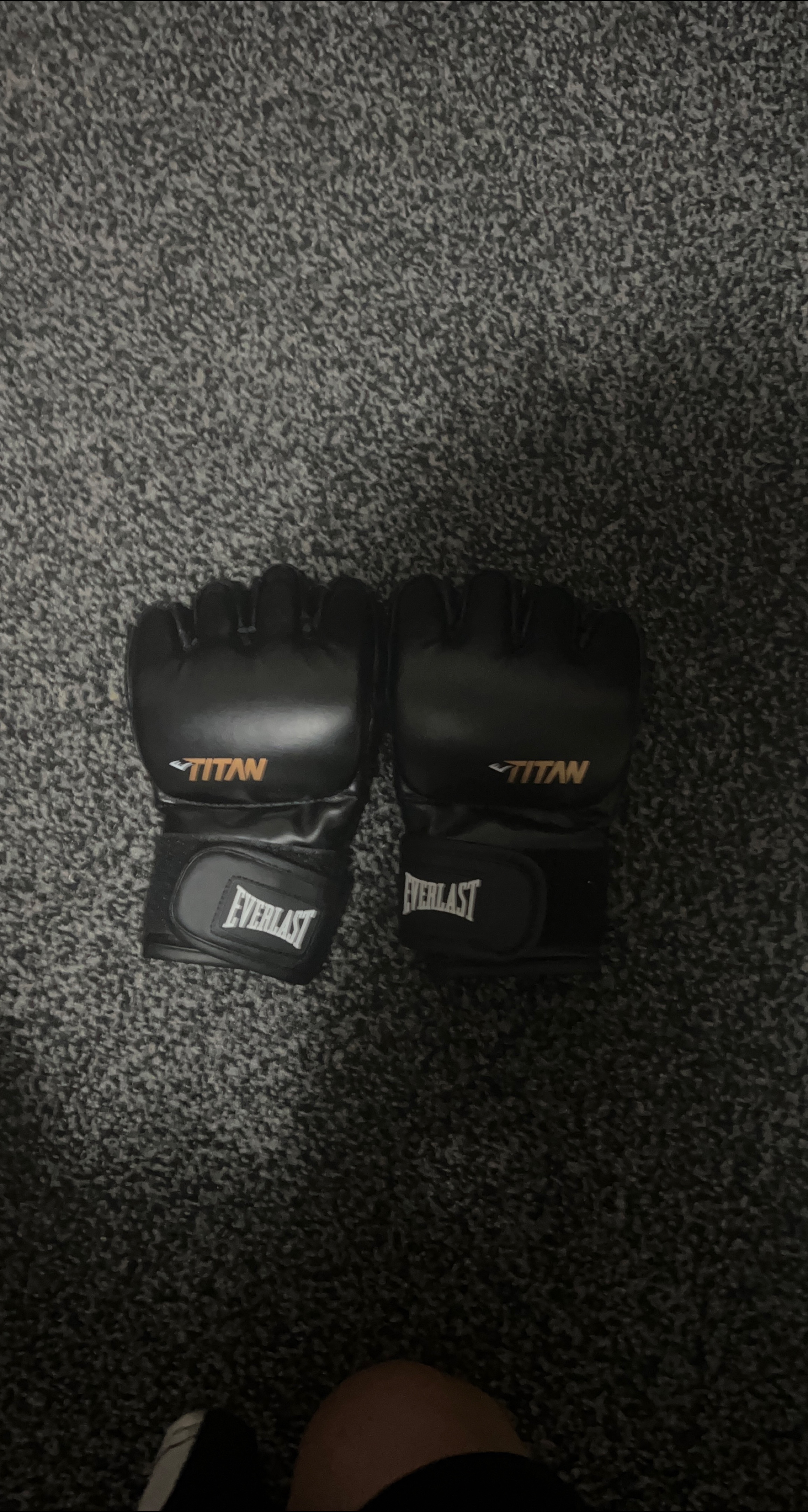 Everlast Boxing Gloves thumbnail