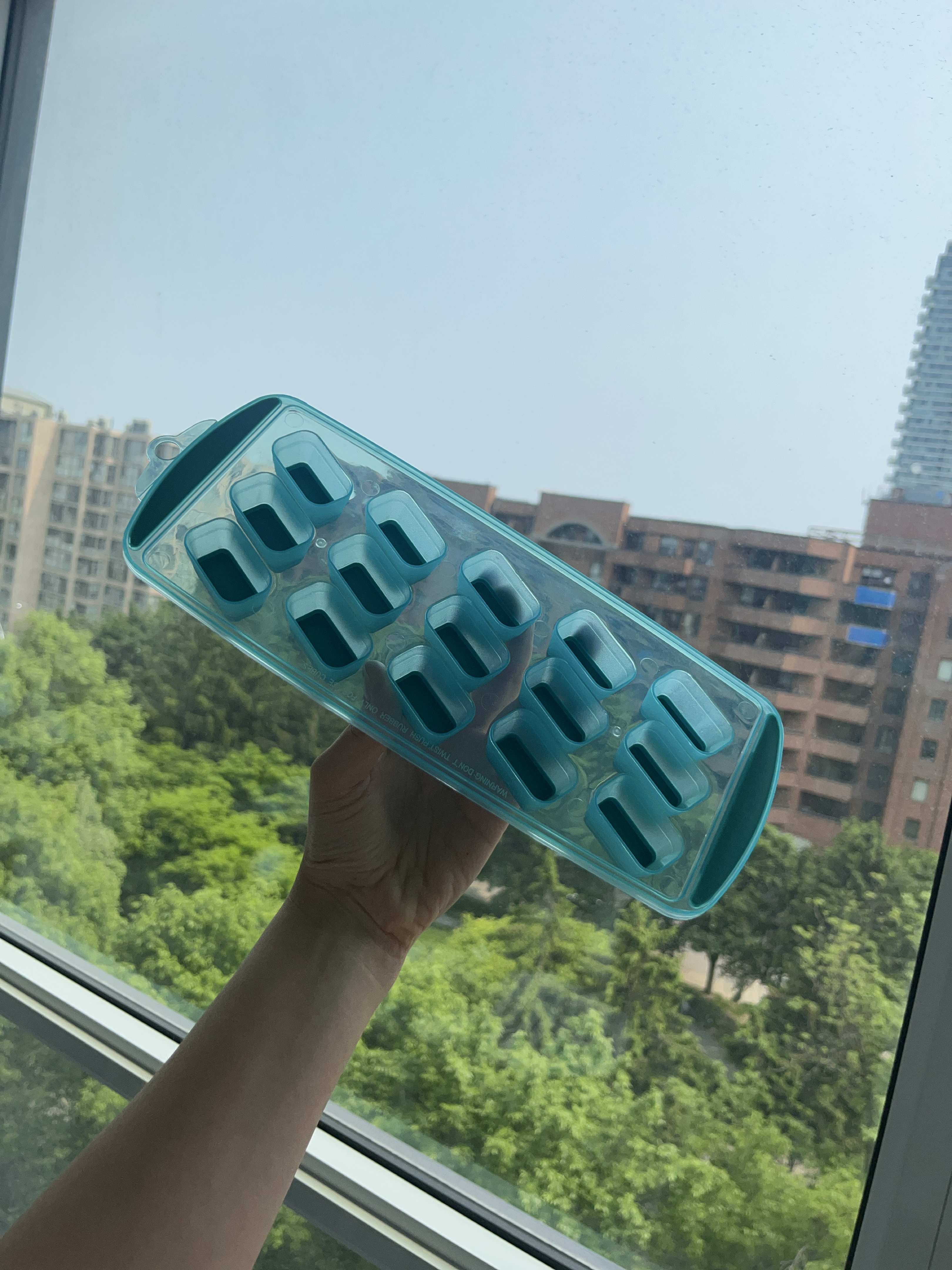 Blue Ice Cube Tray thumbnail