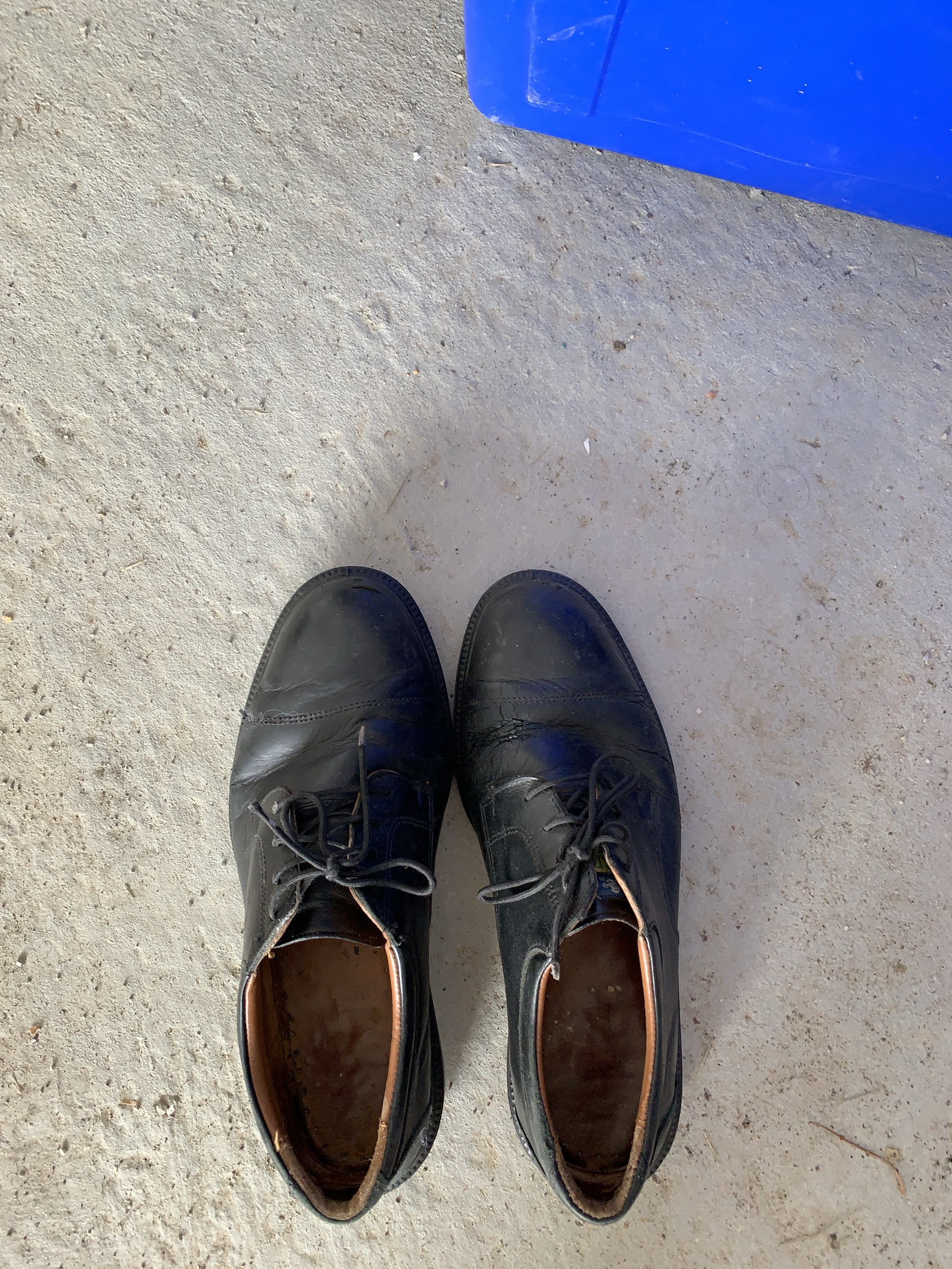 Black Dress Shoes thumbnail