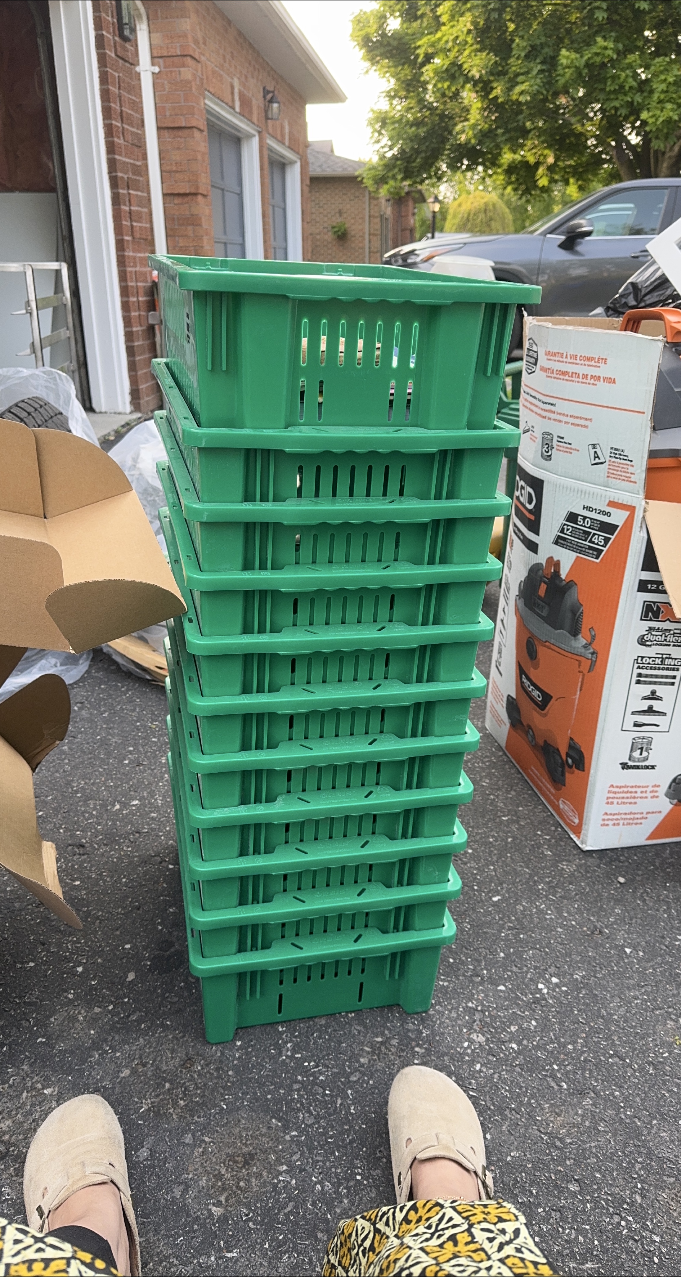 Green storage bins thumbnail