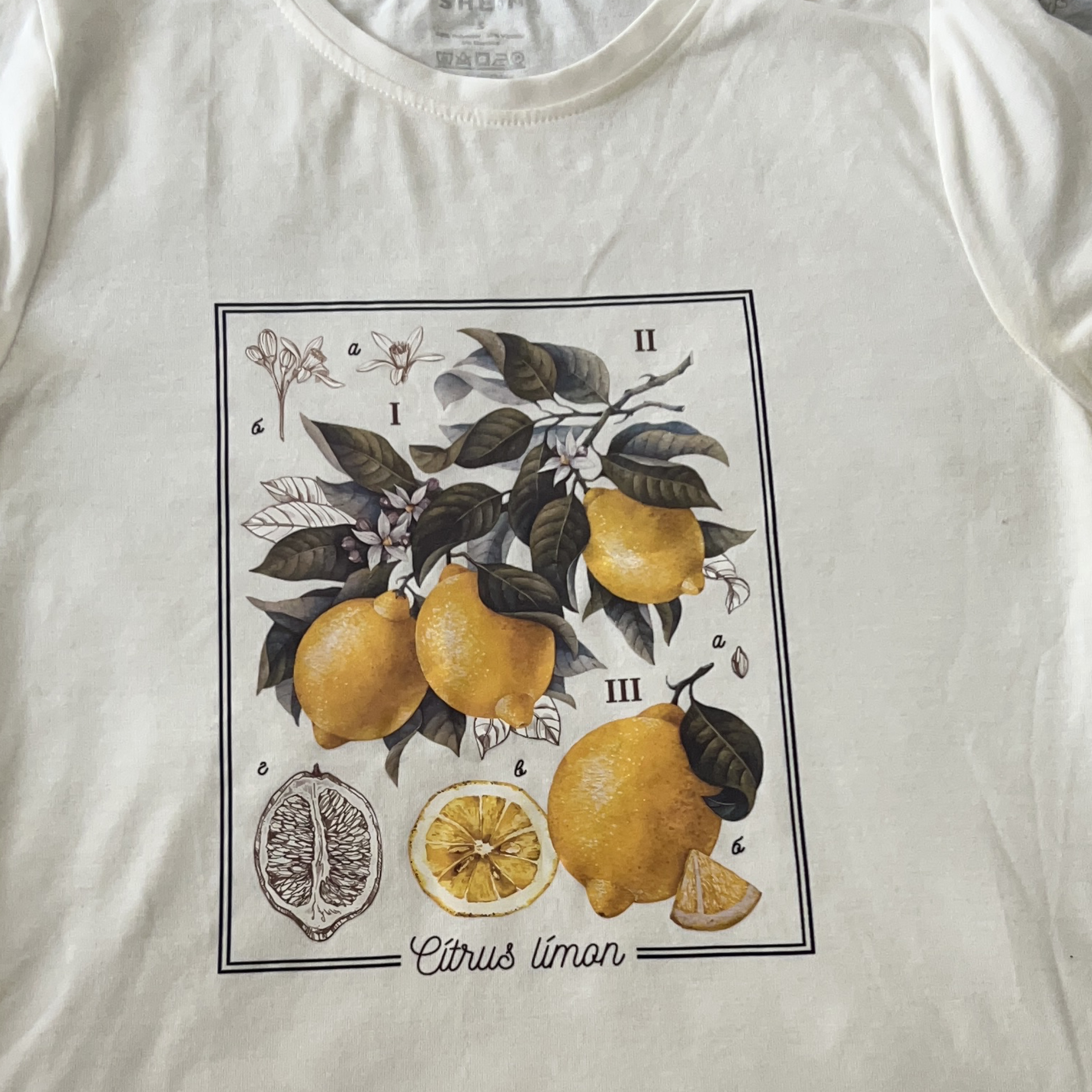 White Citrus Limon Graphic Tee thumbnail