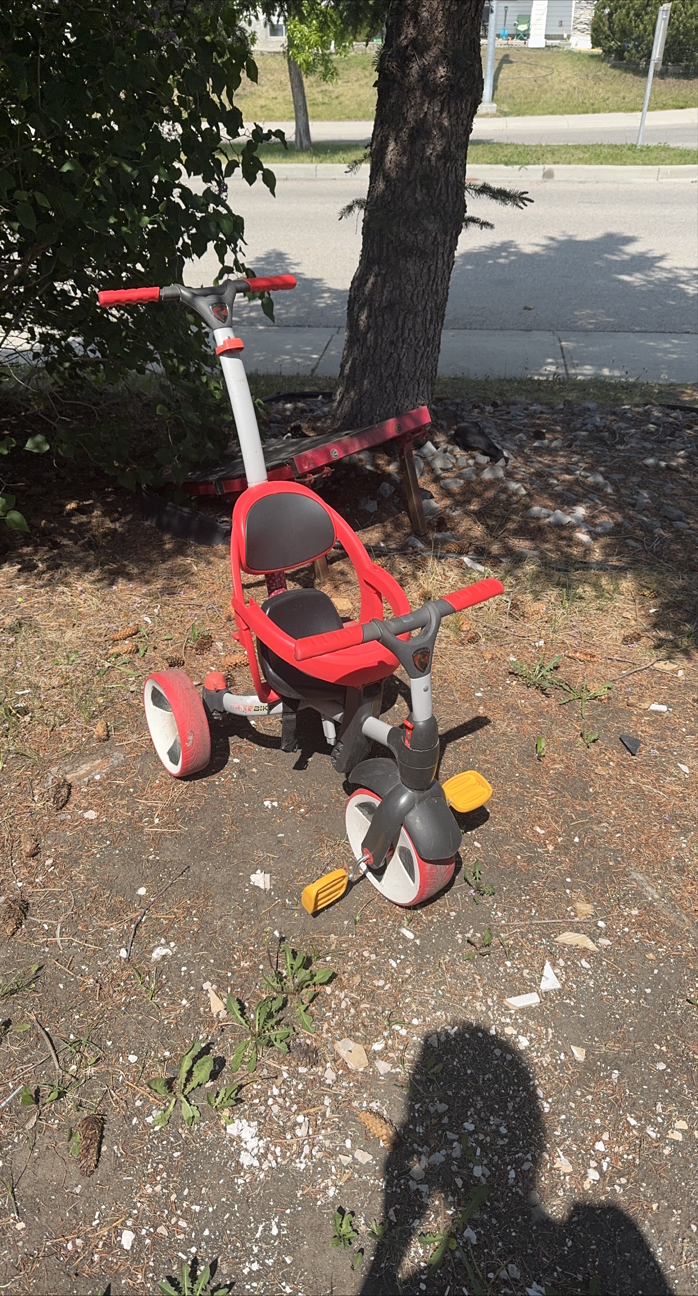 Toddler bike