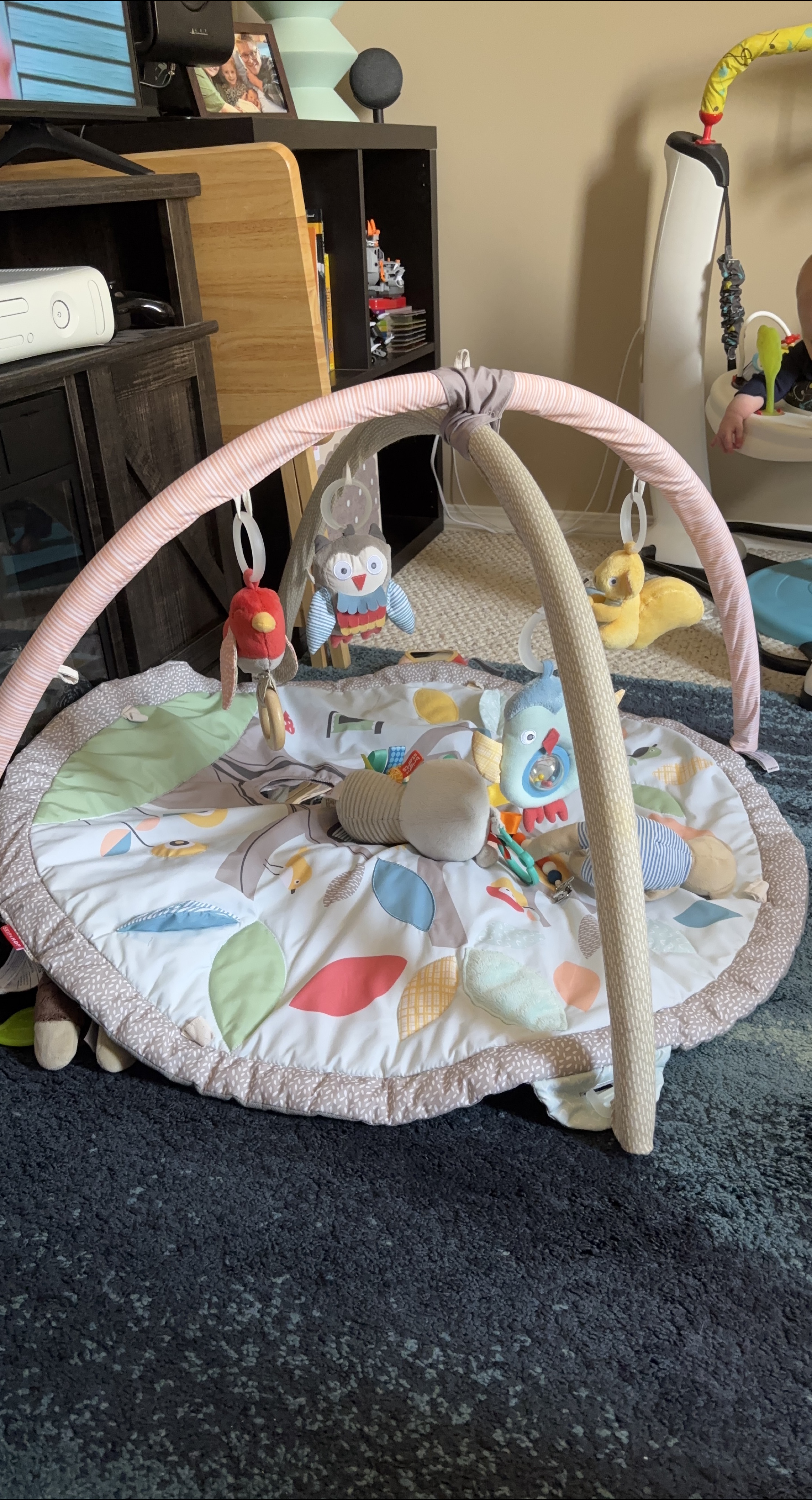 Skip Hop Baby Activity Gym thumbnail