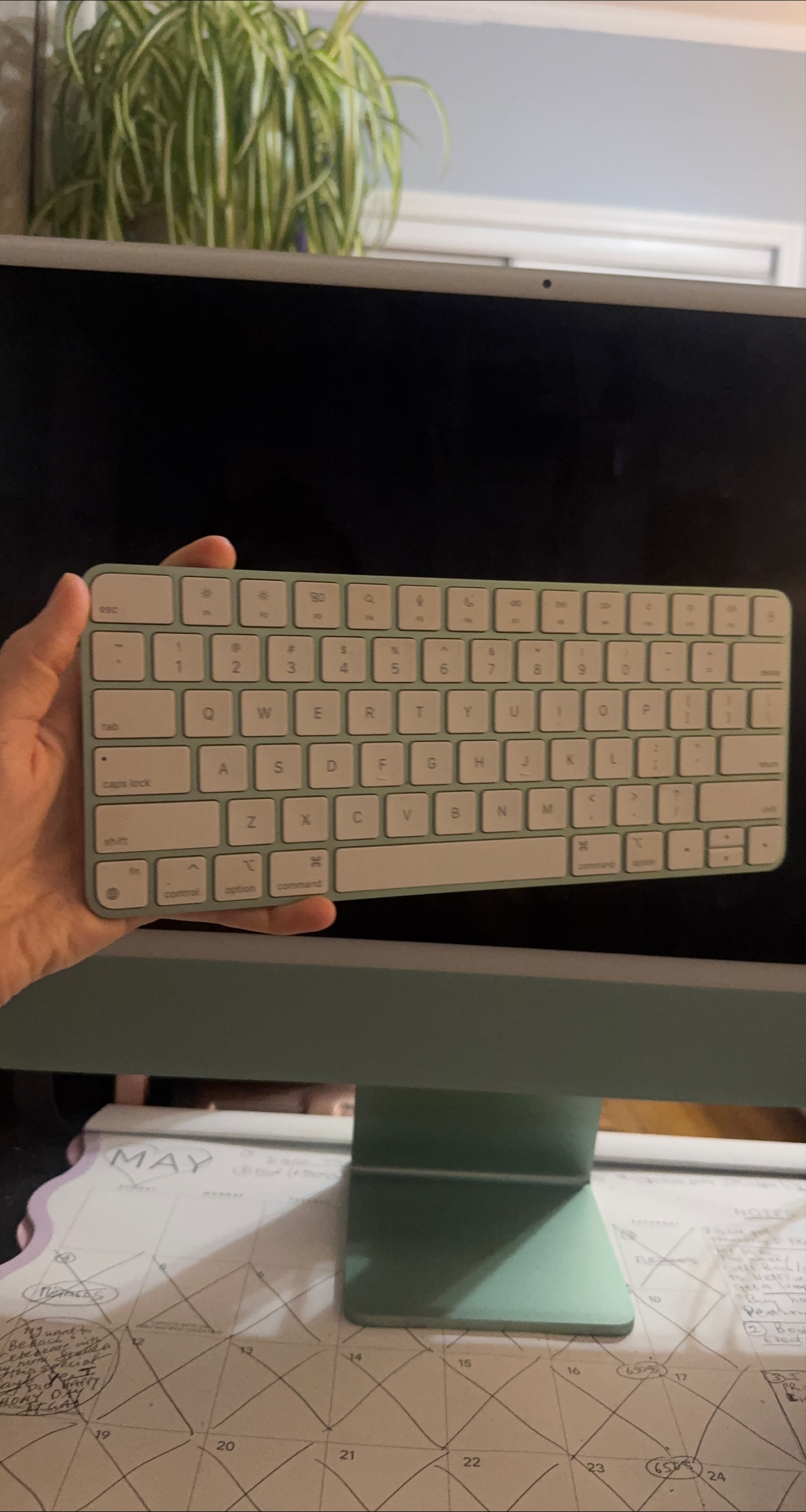 Apple Magic Keyboard - Mint Green