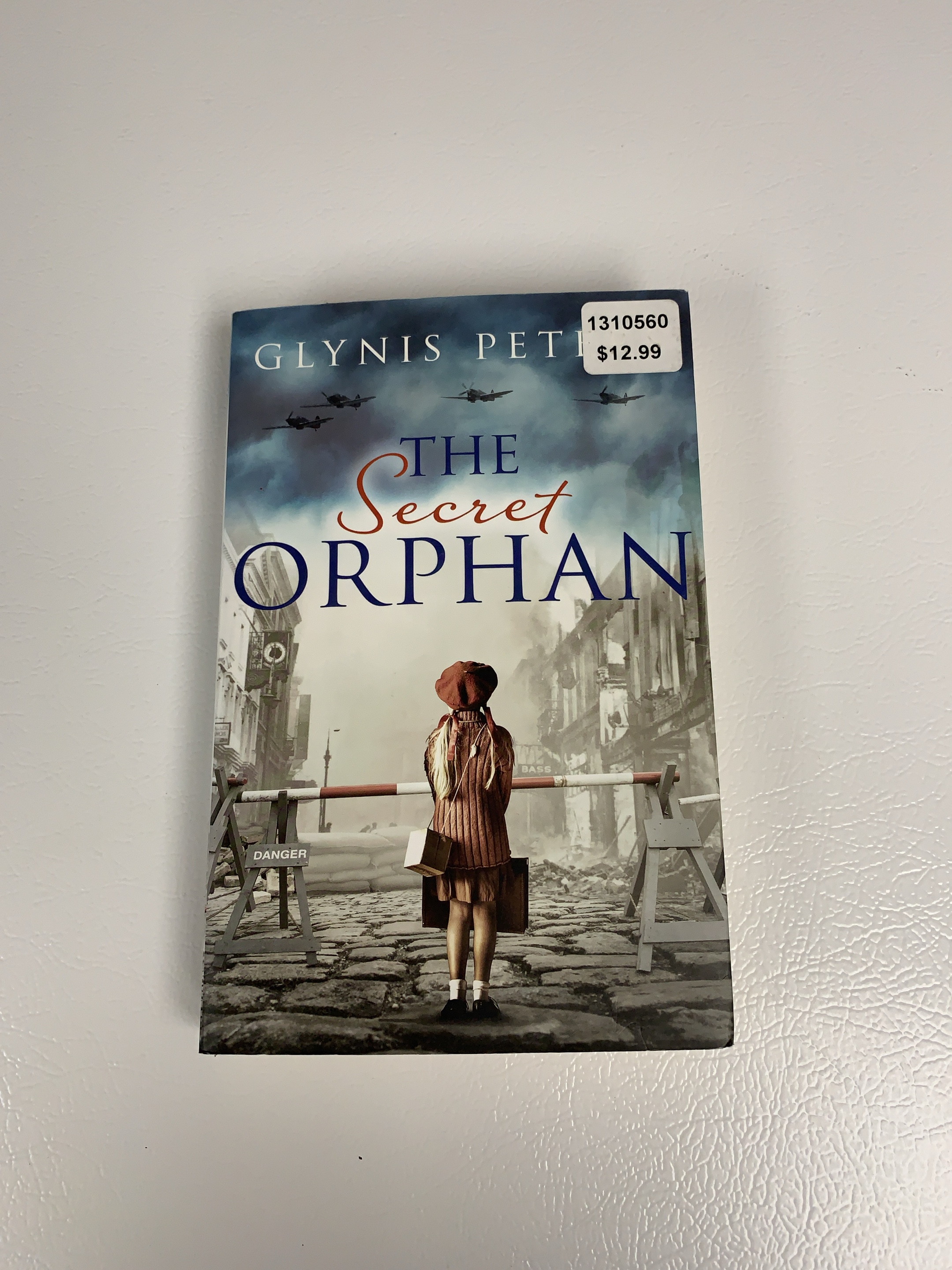 The Secret Orphan Novel thumbnail