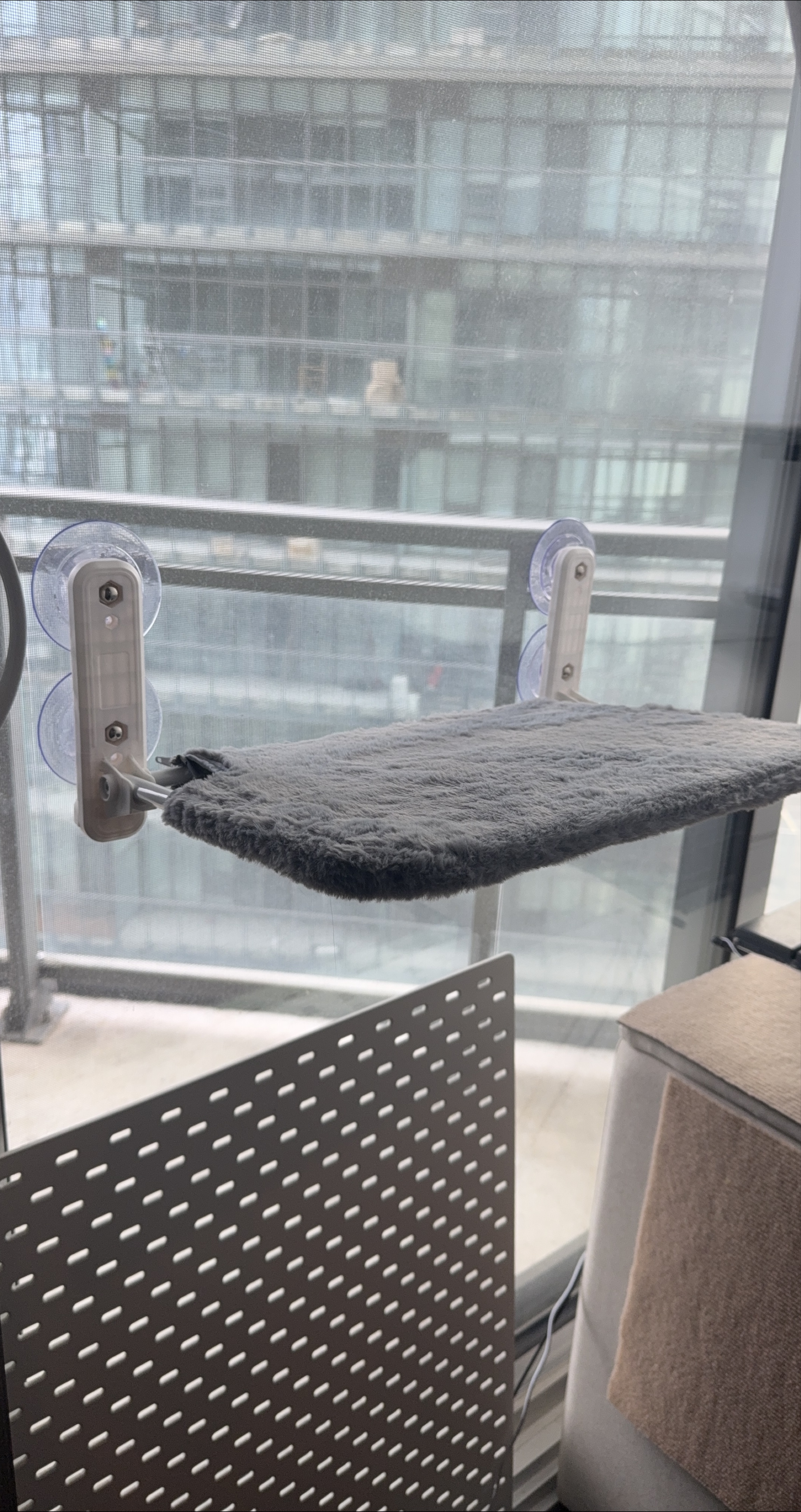 Window-Mounted Cat Bed thumbnail