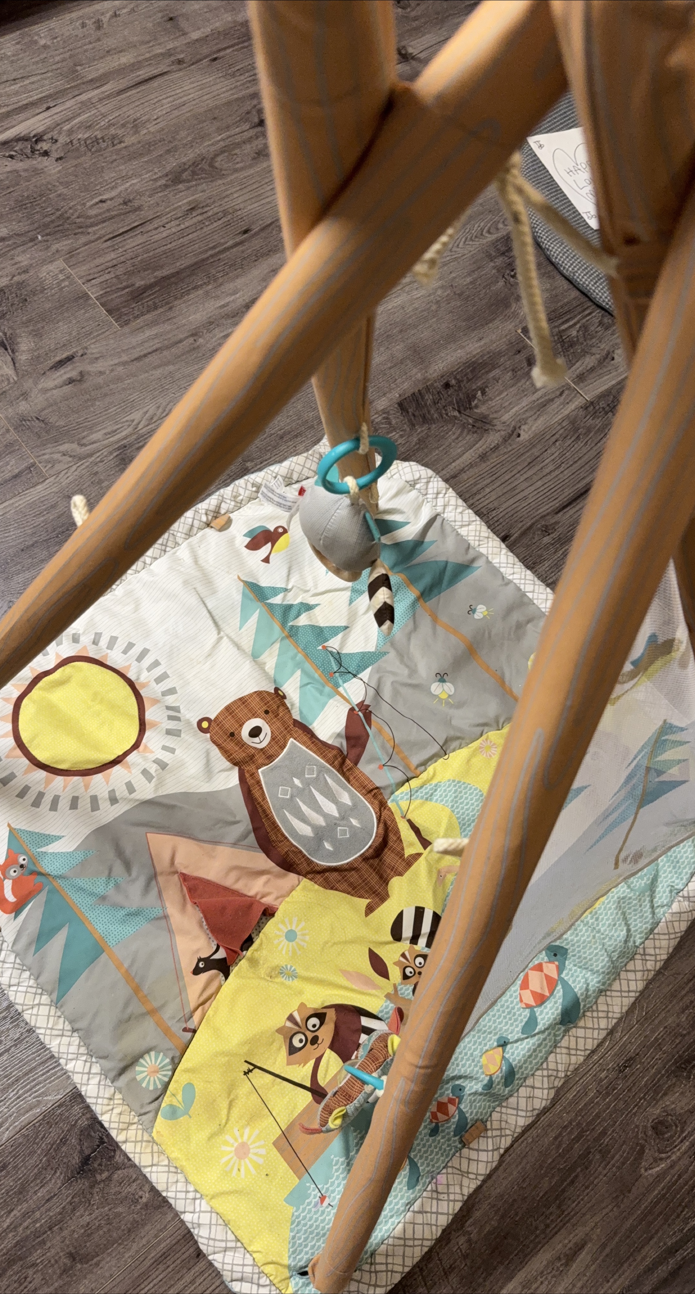 Baby Play Gym with Playmat thumbnail