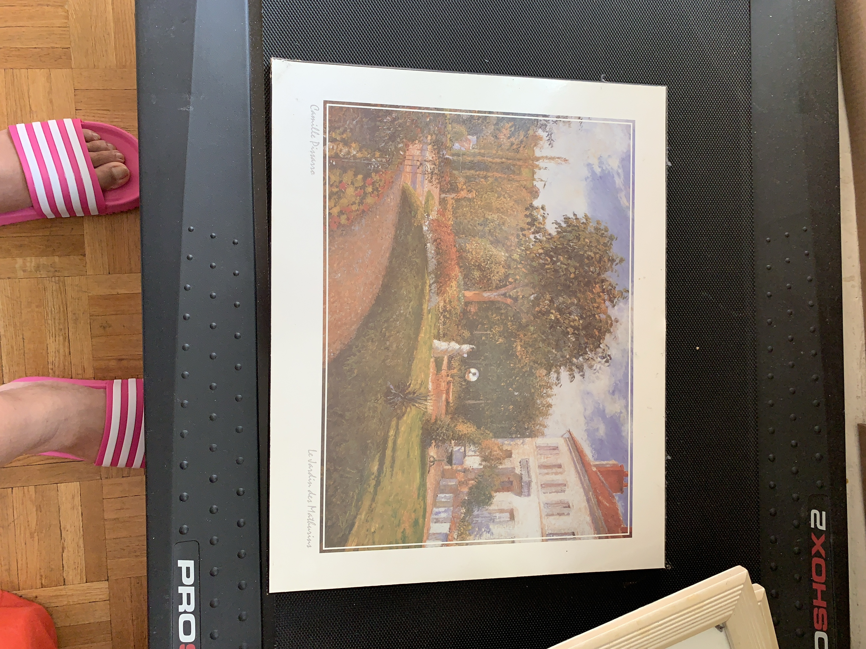 Camille Pissarro Print - Le Jardin des Mathurins thumbnail