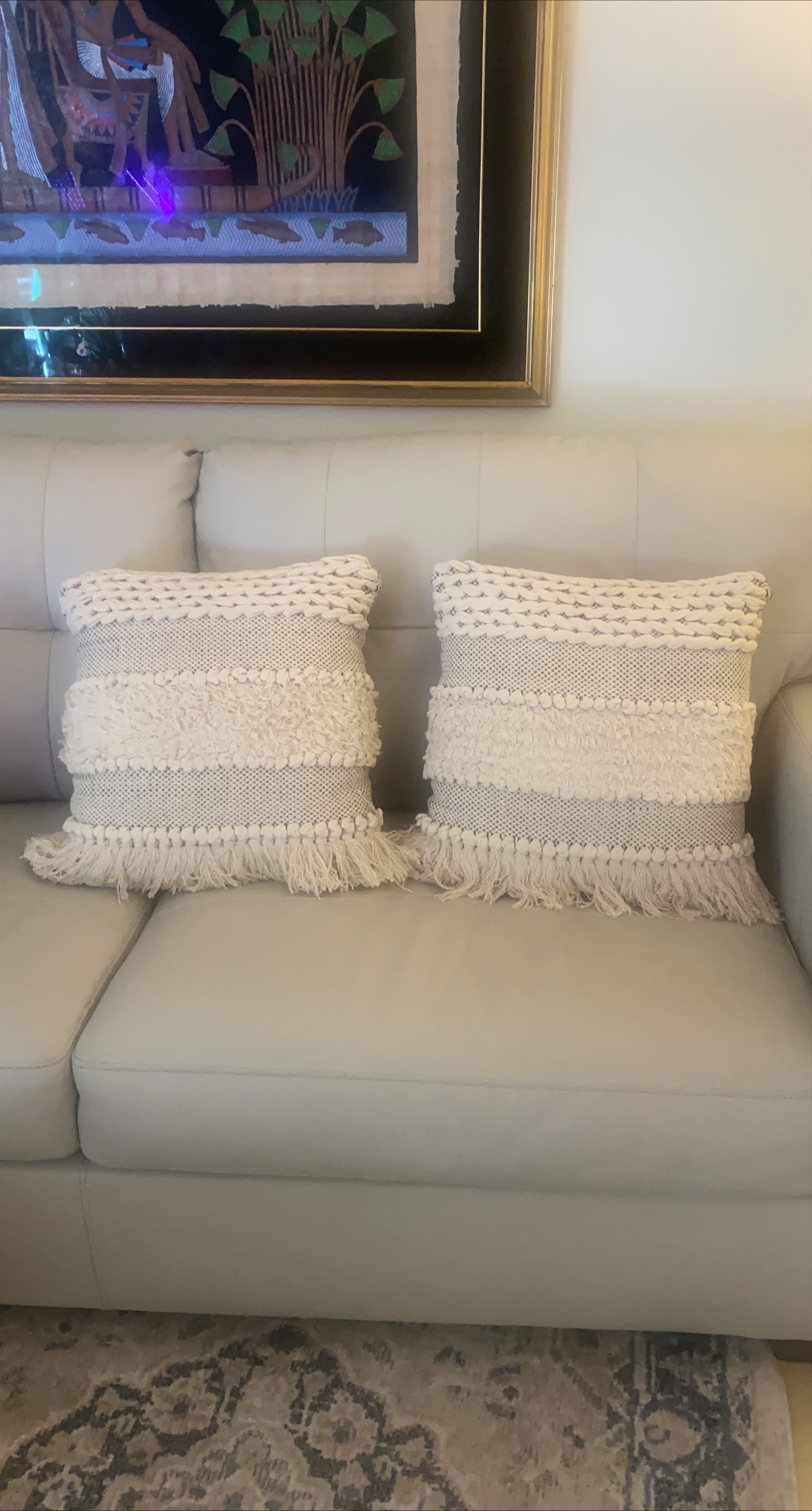 Pair of Decorative Throw Pillows image indicator(1)