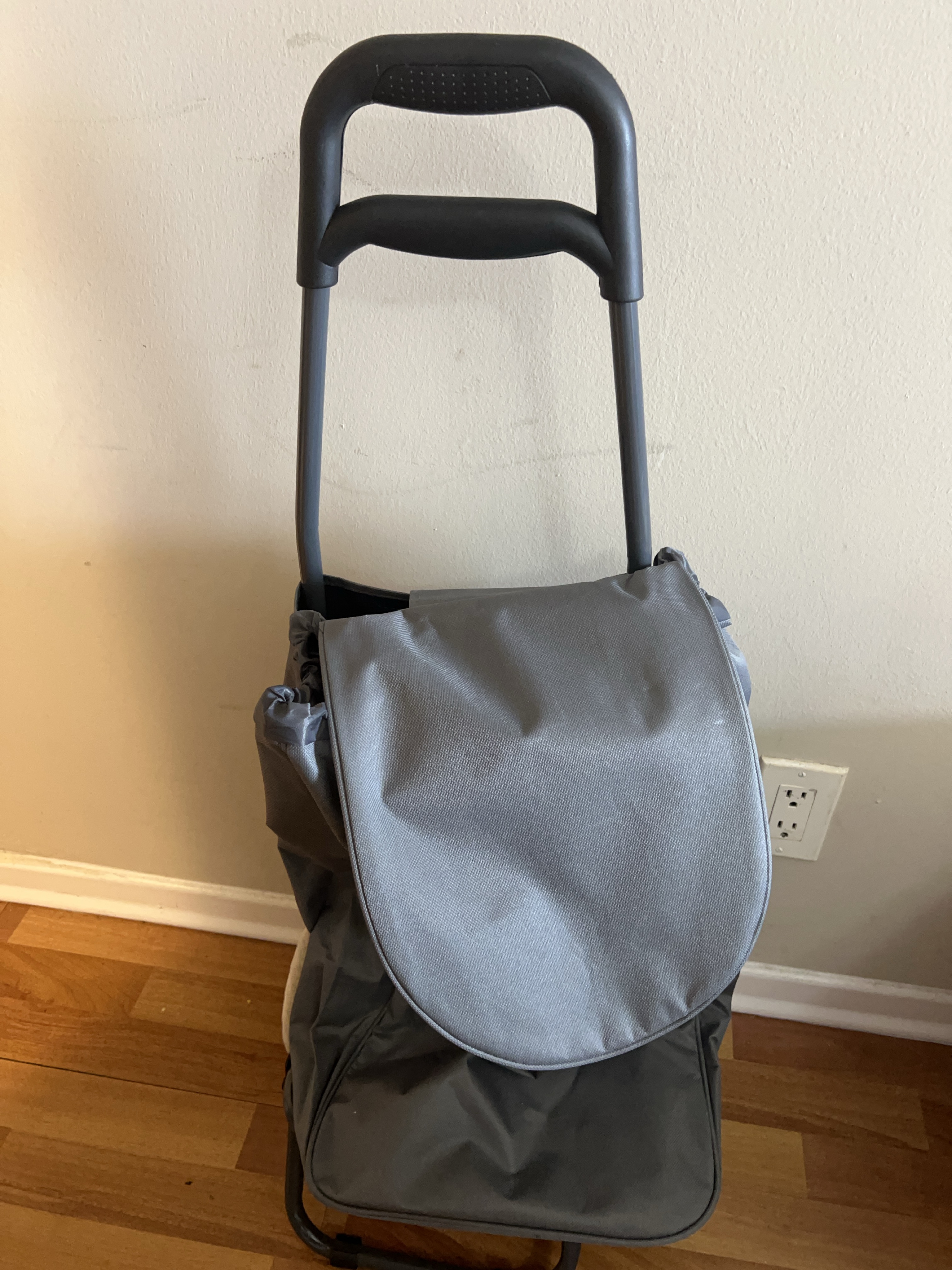 Grey Rolling Shopping Cart thumbnail