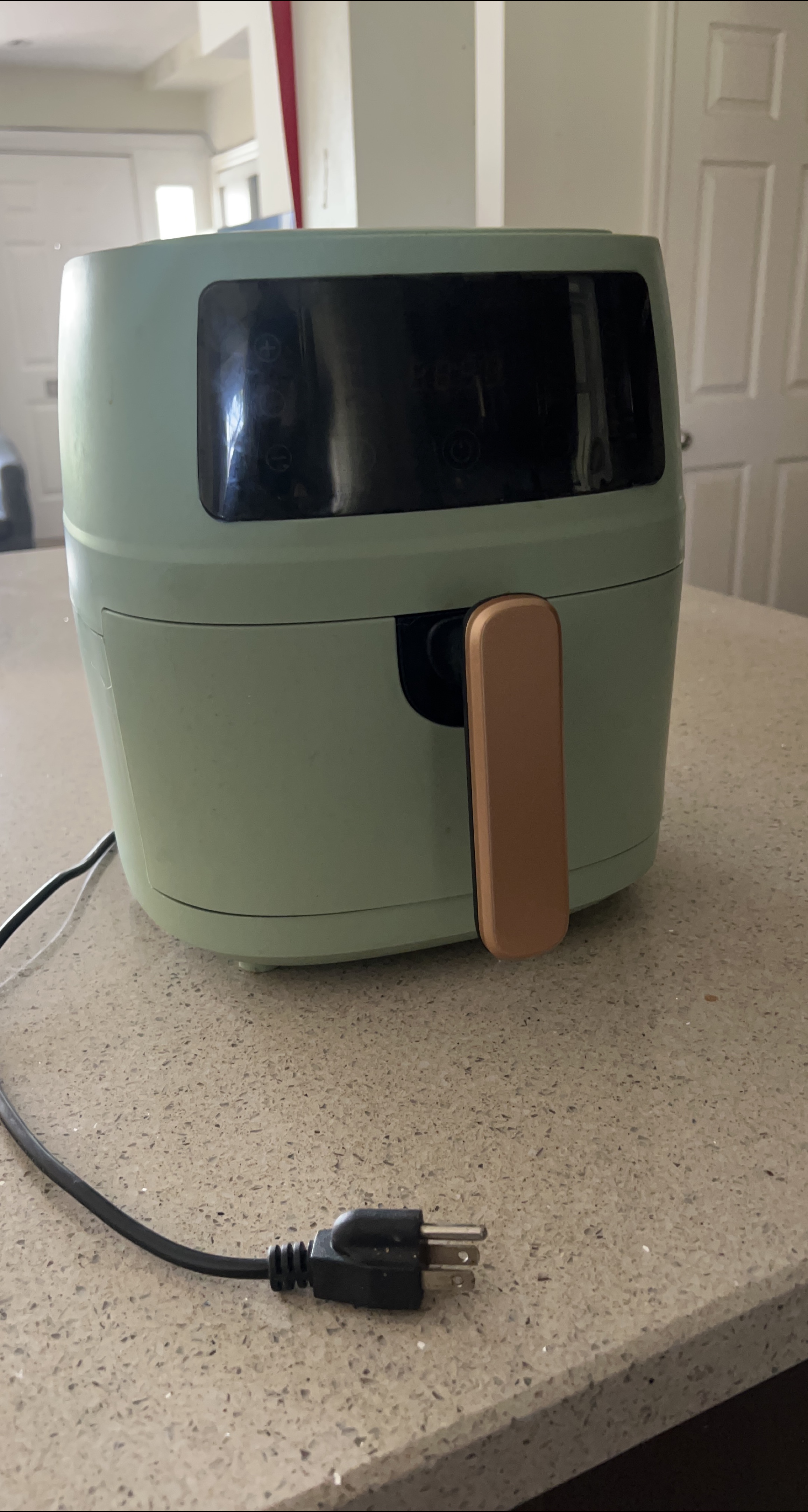 Mint Air Fryer thumbnail