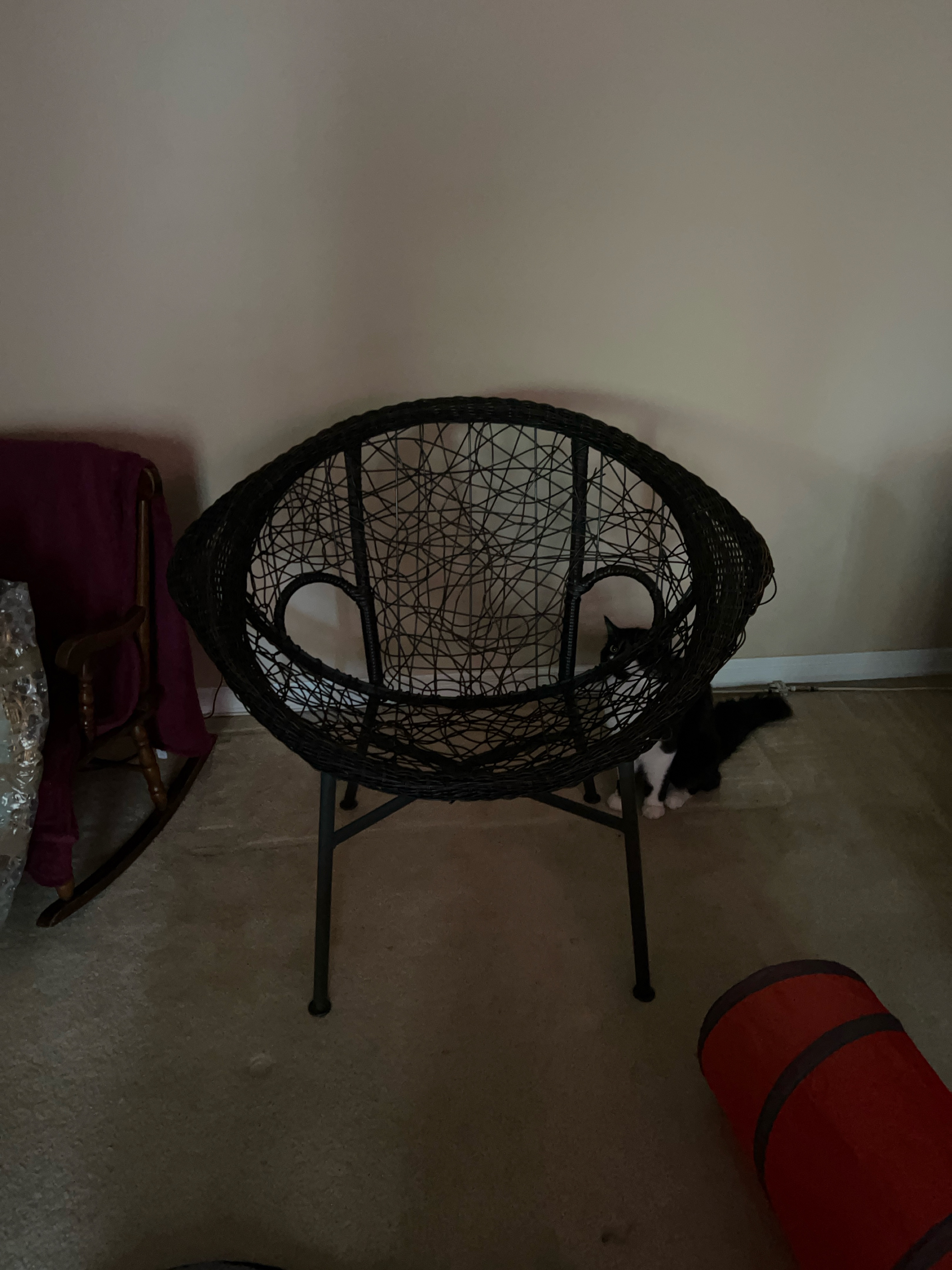 Wicker Egg Chair thumbnail