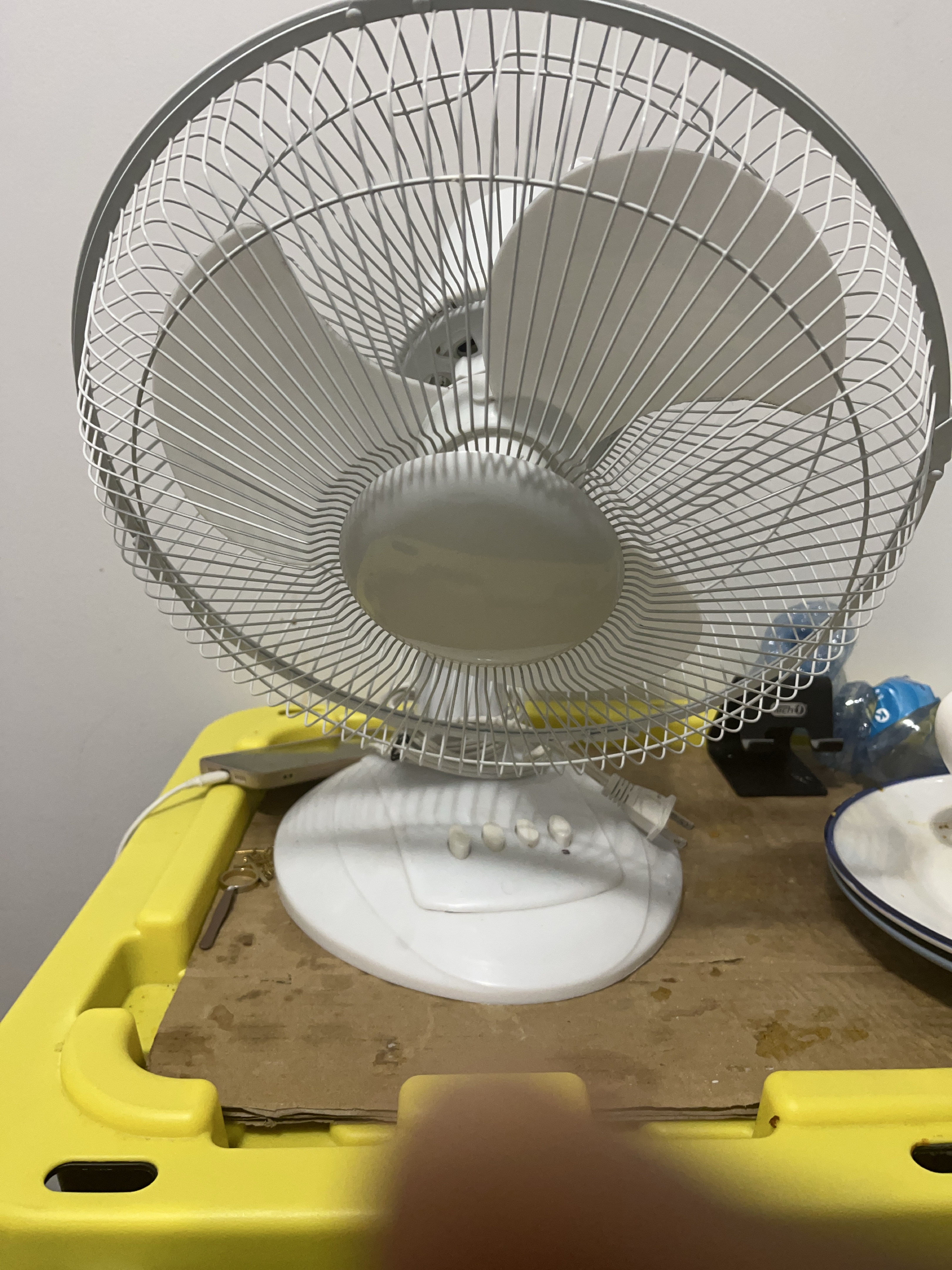 White Fan thumbnail