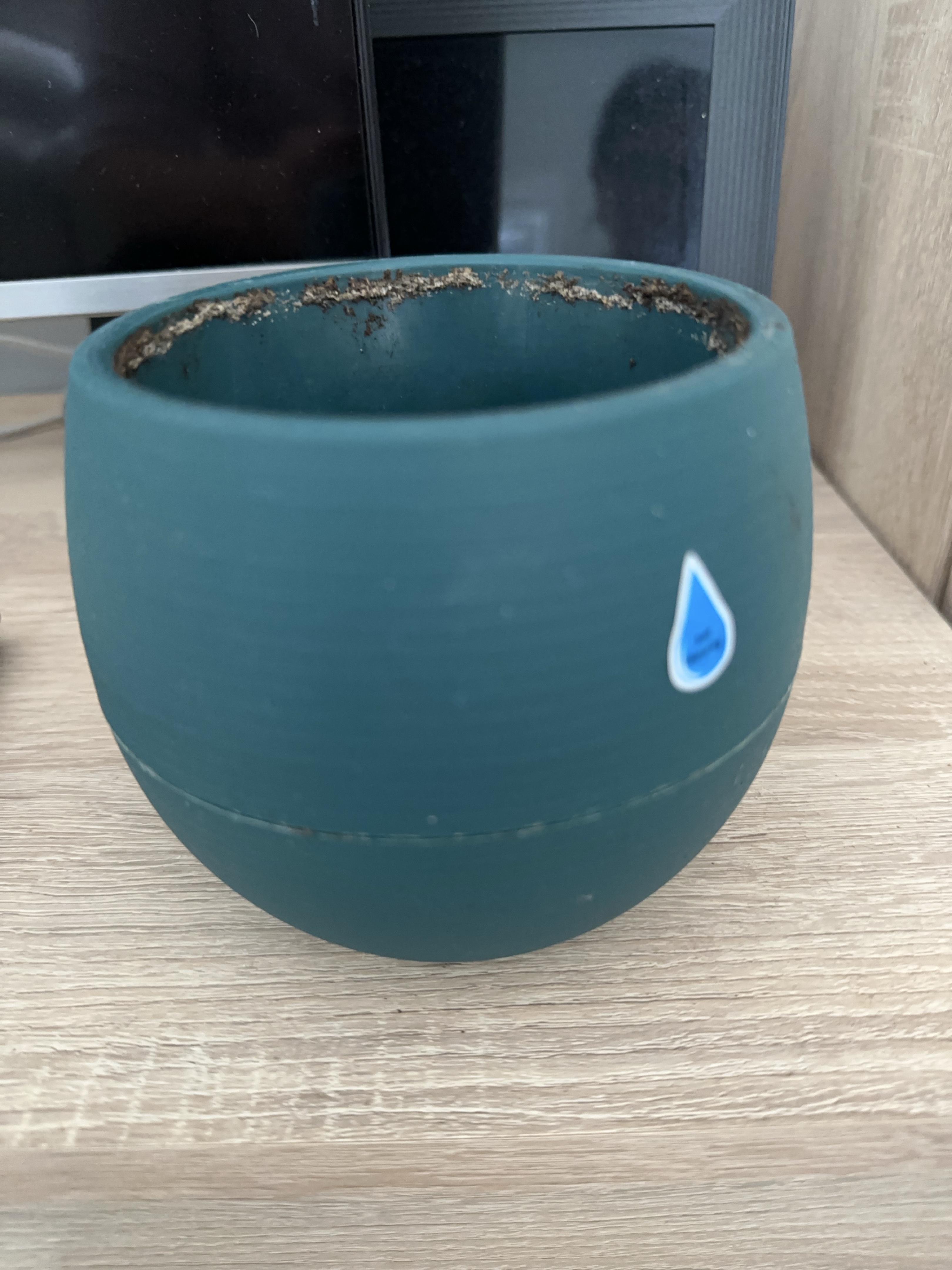 Teal Coloured Planter Pot thumbnail