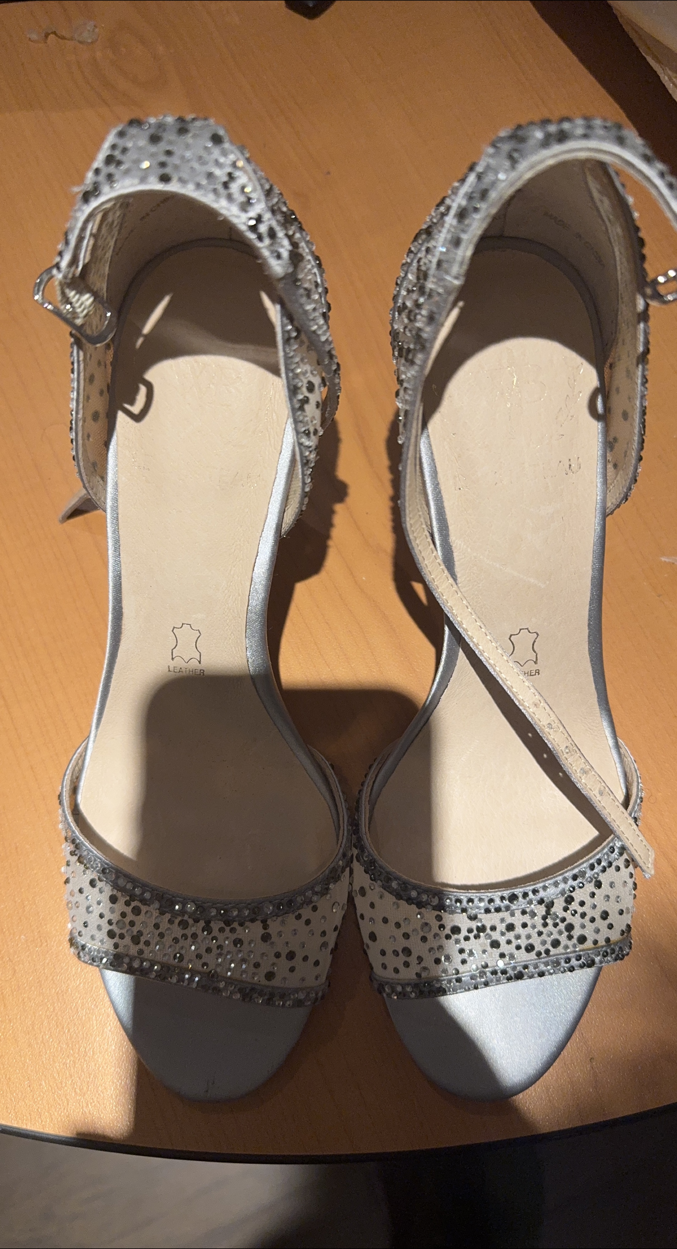 Elegant Silver Heels