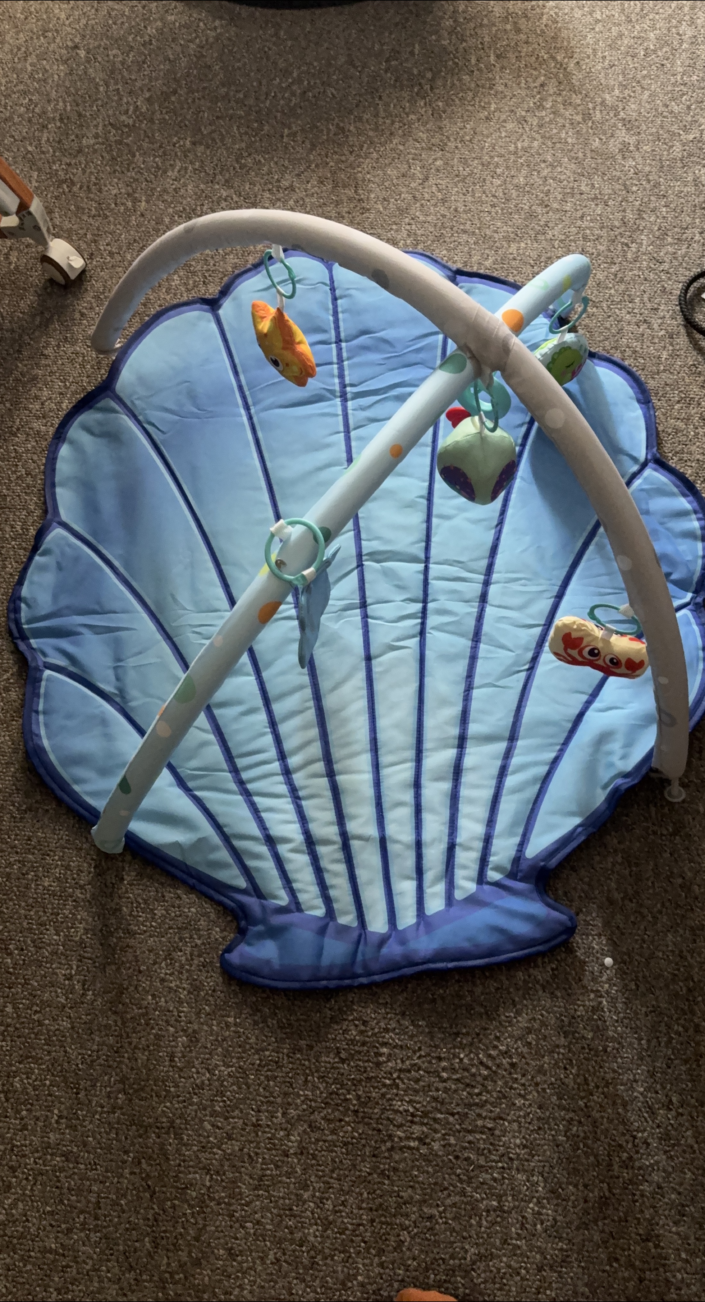 Baby Play Mat with Hanging Toys thumbnail