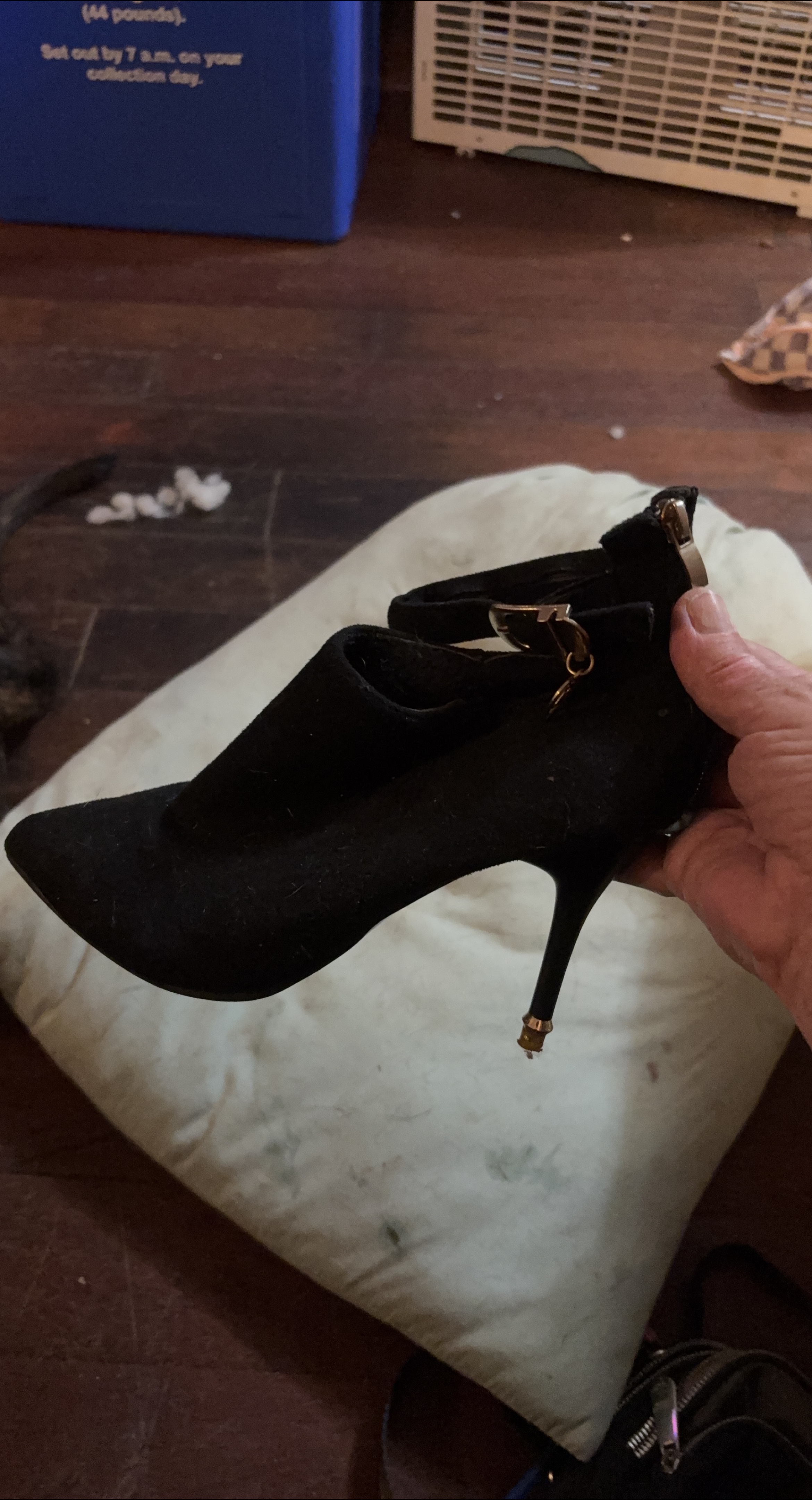 Black Heeled Booties thumbnail