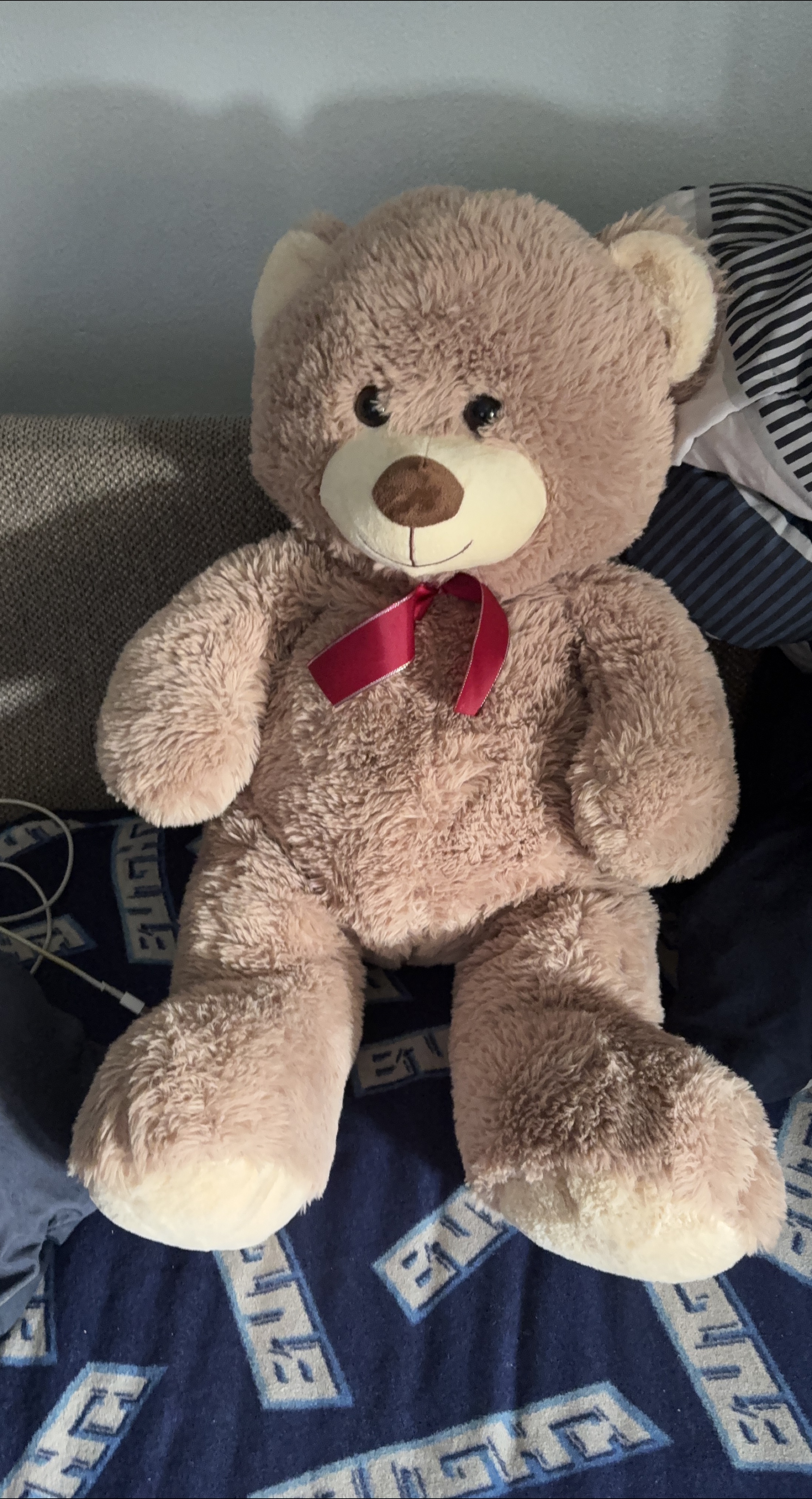 Cute Teddy Bear thumbnail