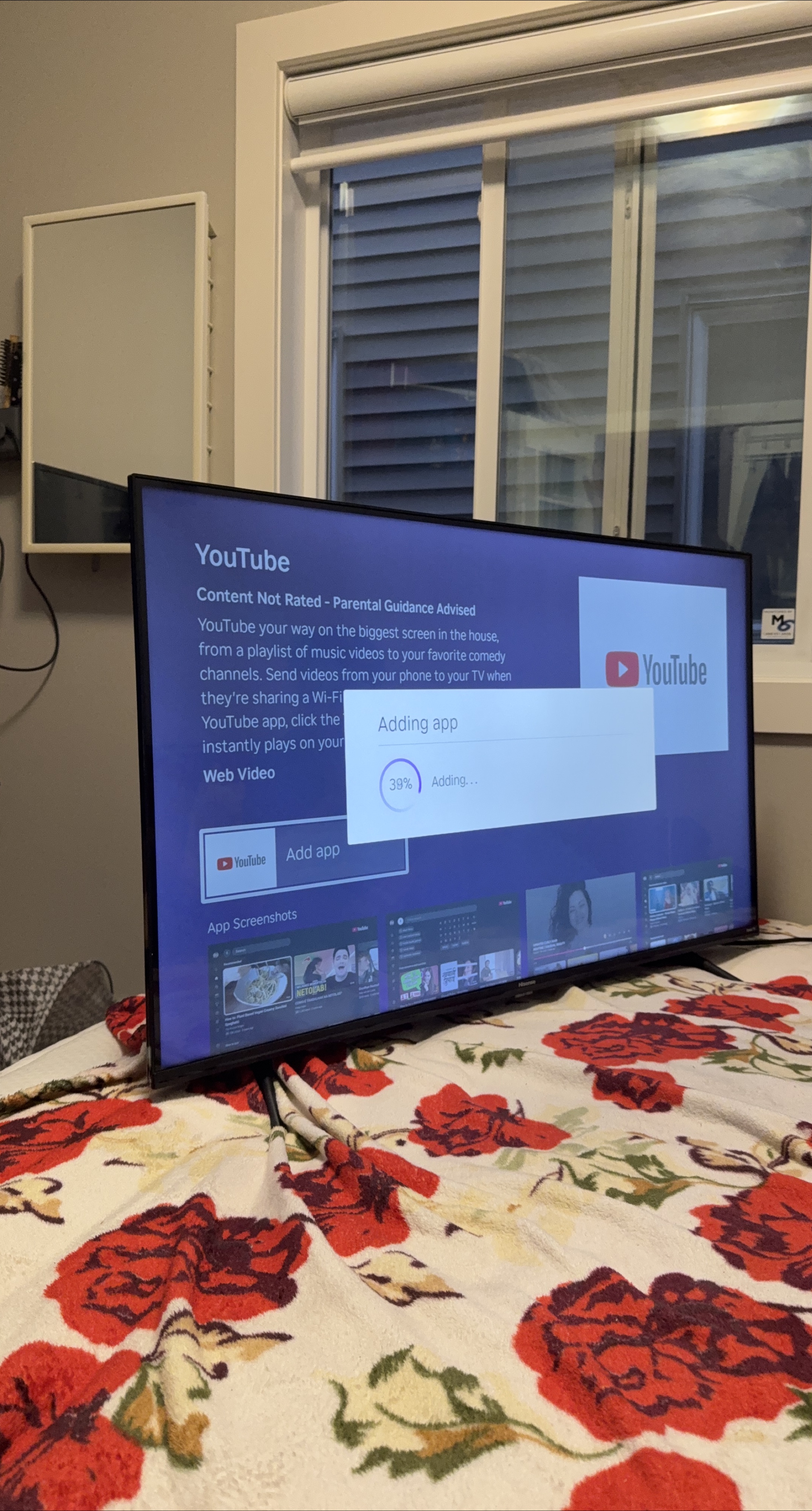 Flat-Screen TV