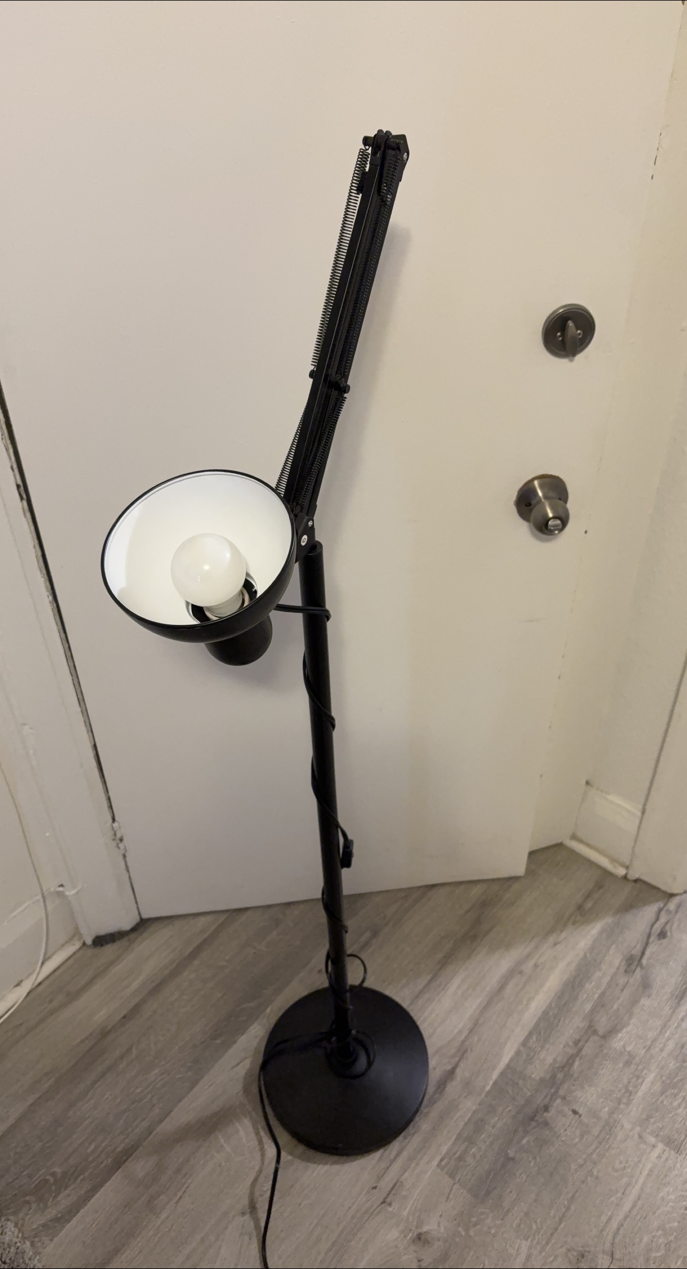 Black Adjustable Floor Lamp