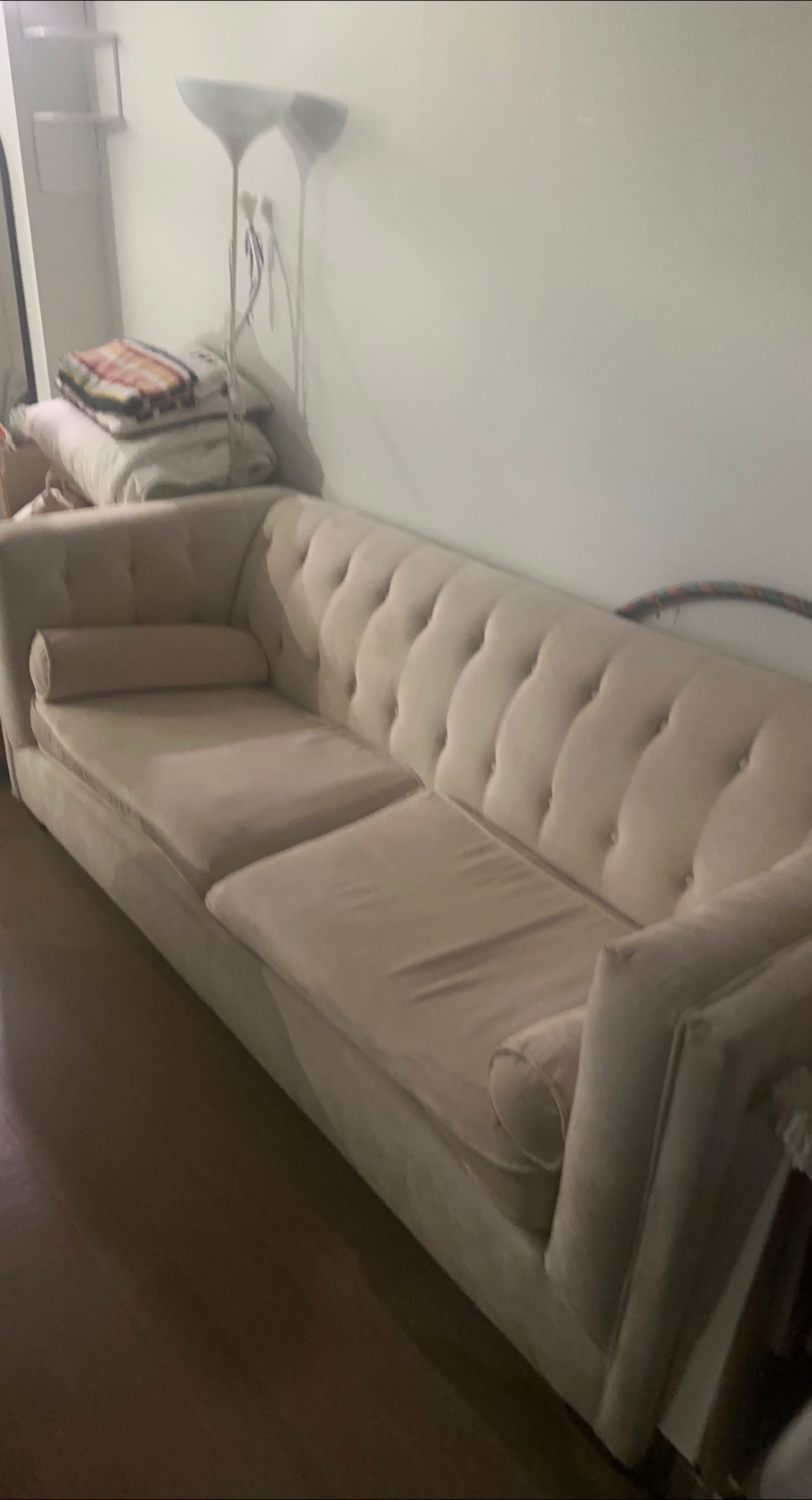 Cream Velvet Couch (no smoke/pets) - photo 2