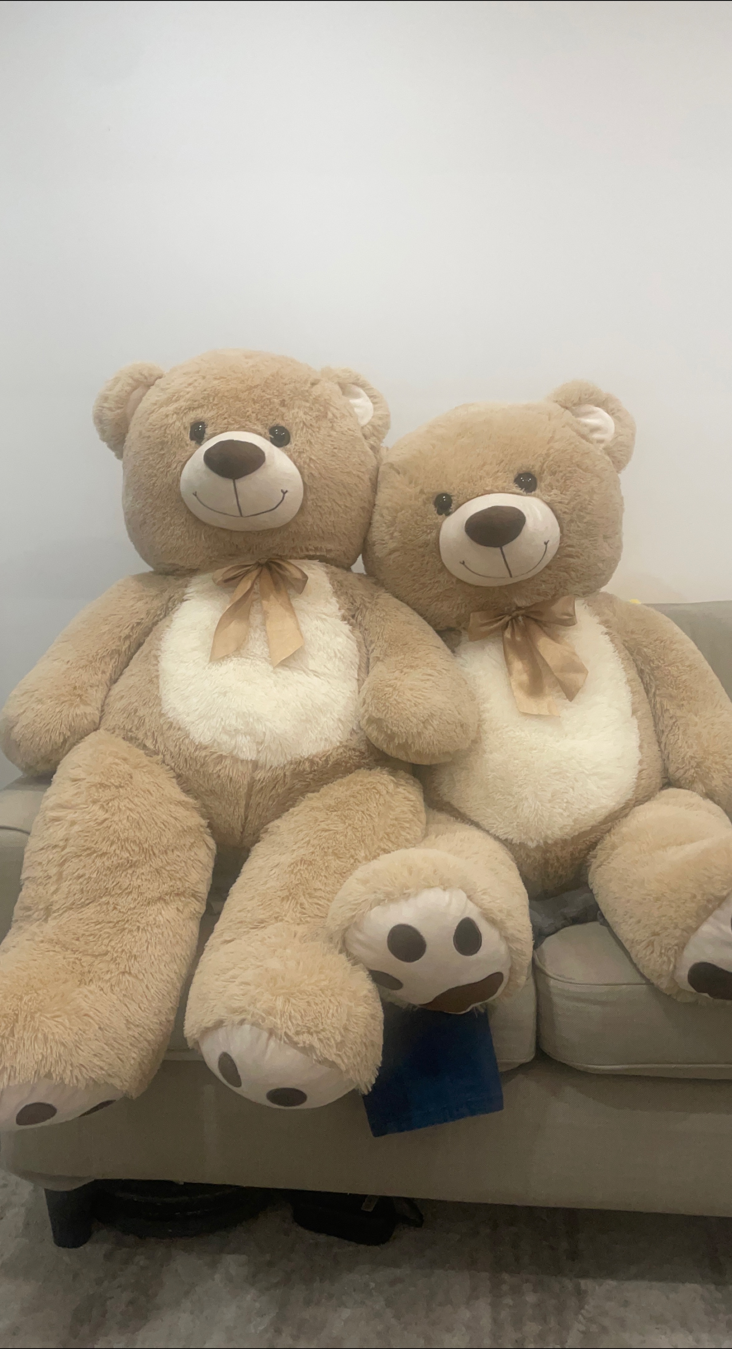 Pair of Cozy Teddy Bears thumbnail