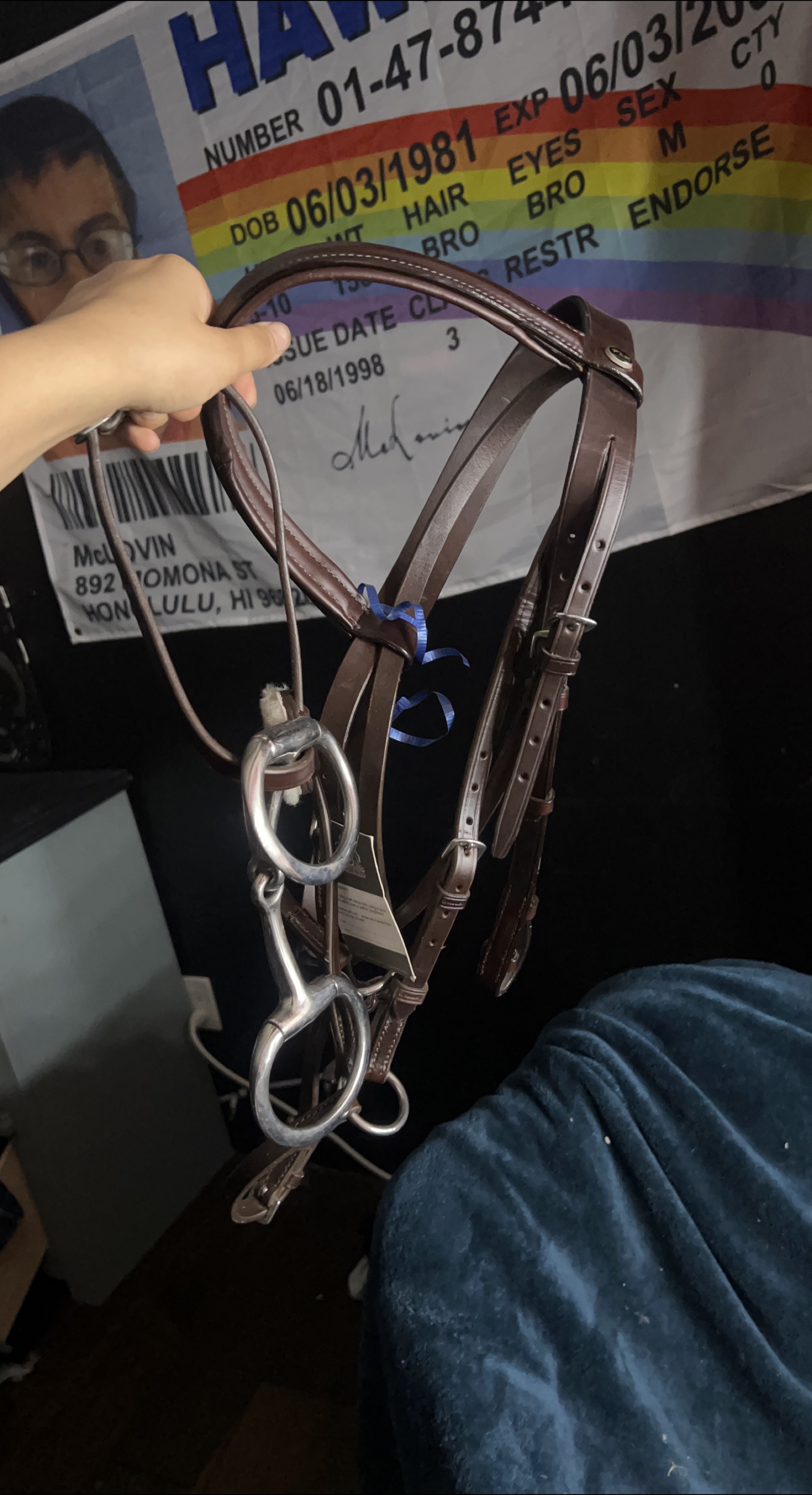 Horse Bridle thumbnail