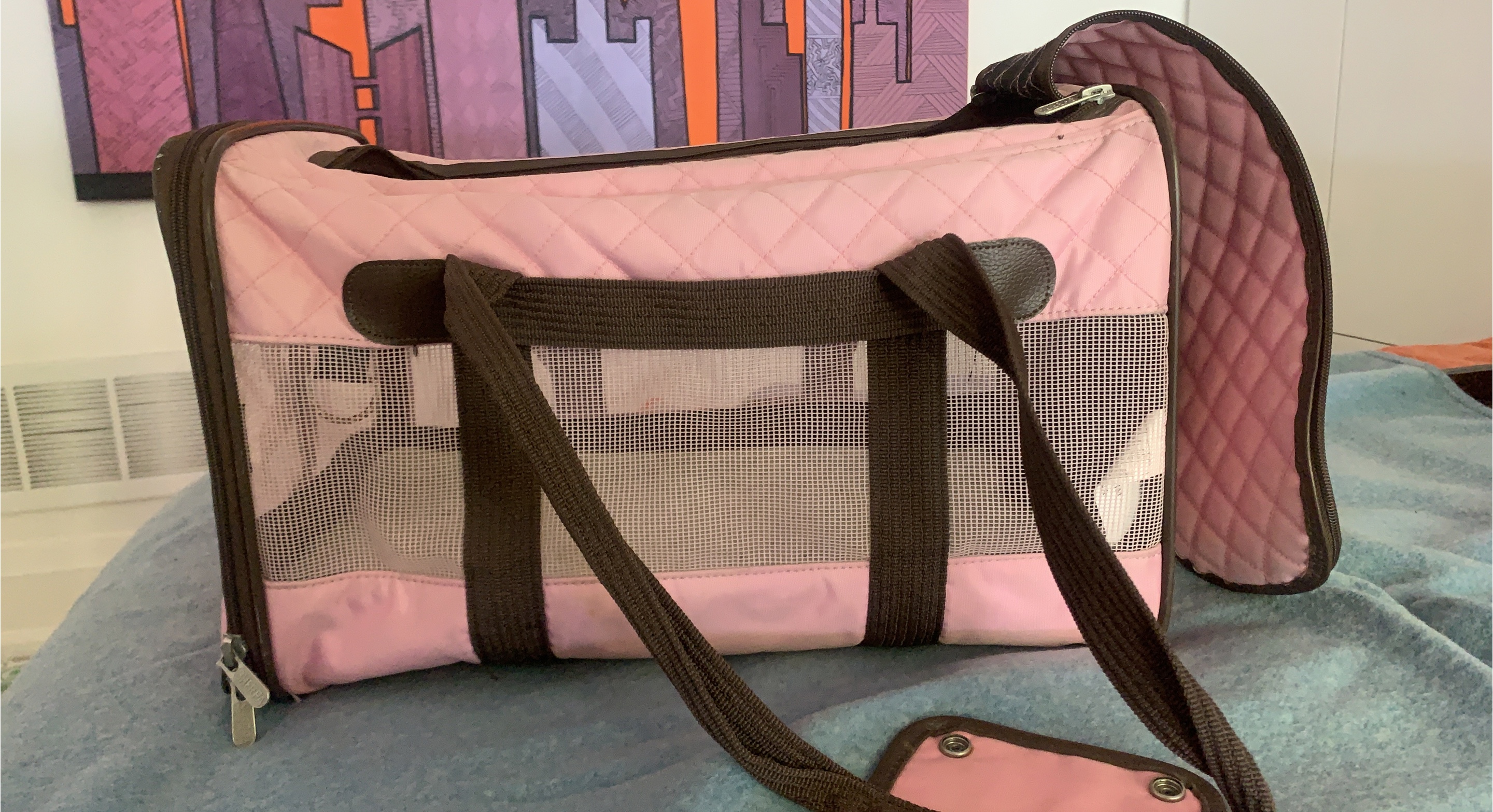 Pink Pet Carrier thumbnail