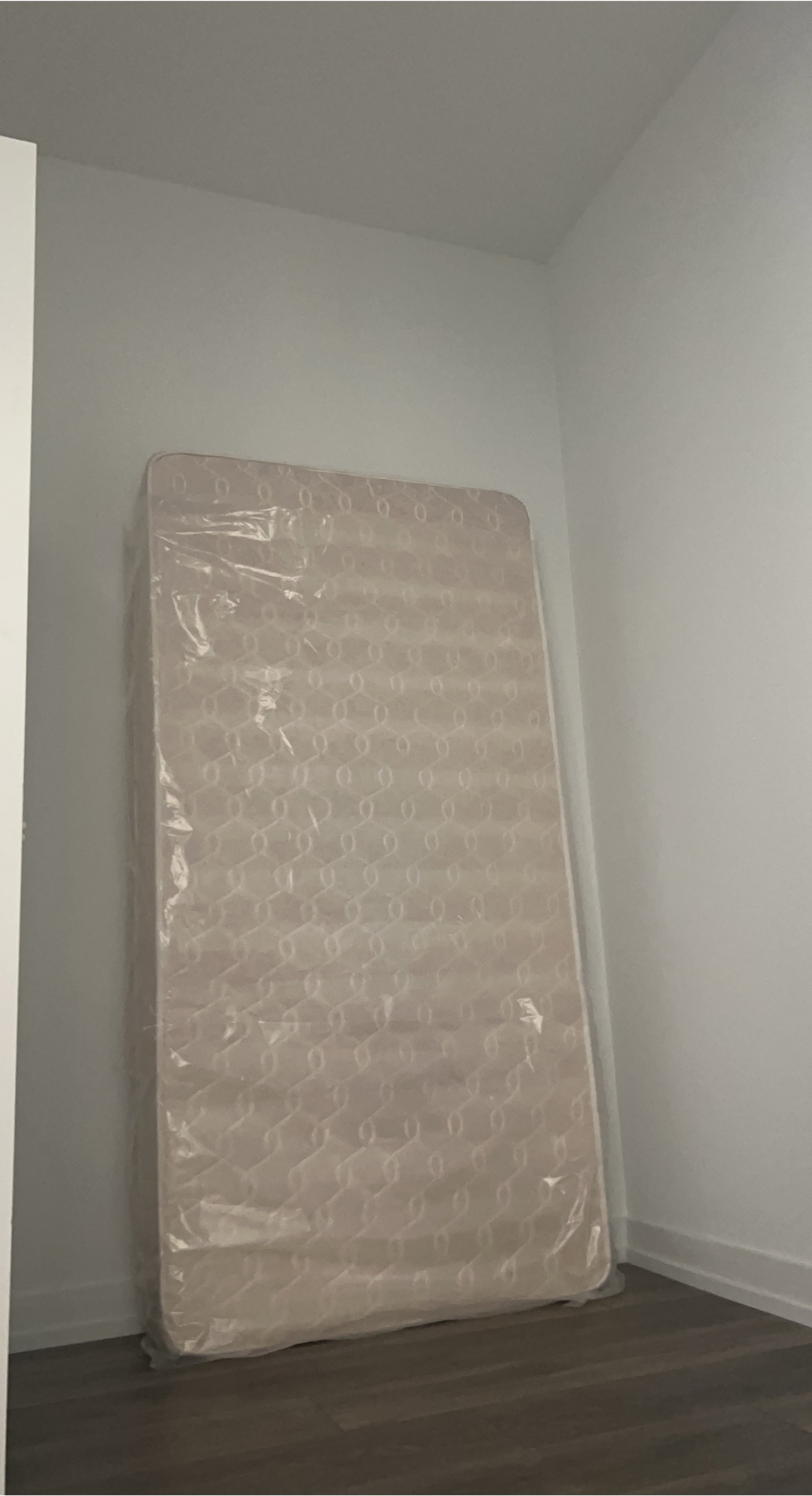 ❗️MUST GO❗️Twin Size Mattress (Medium Firm) - photo 2