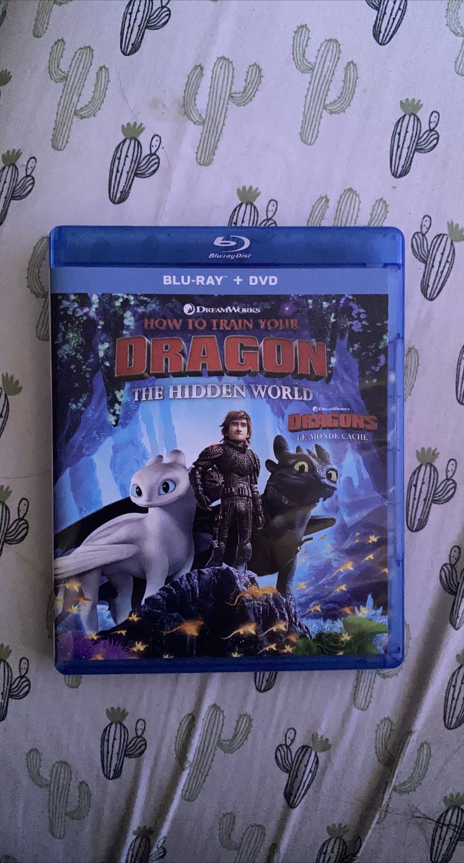How to Train Your Dragon: The Hidden World Blu-Ray + DVD