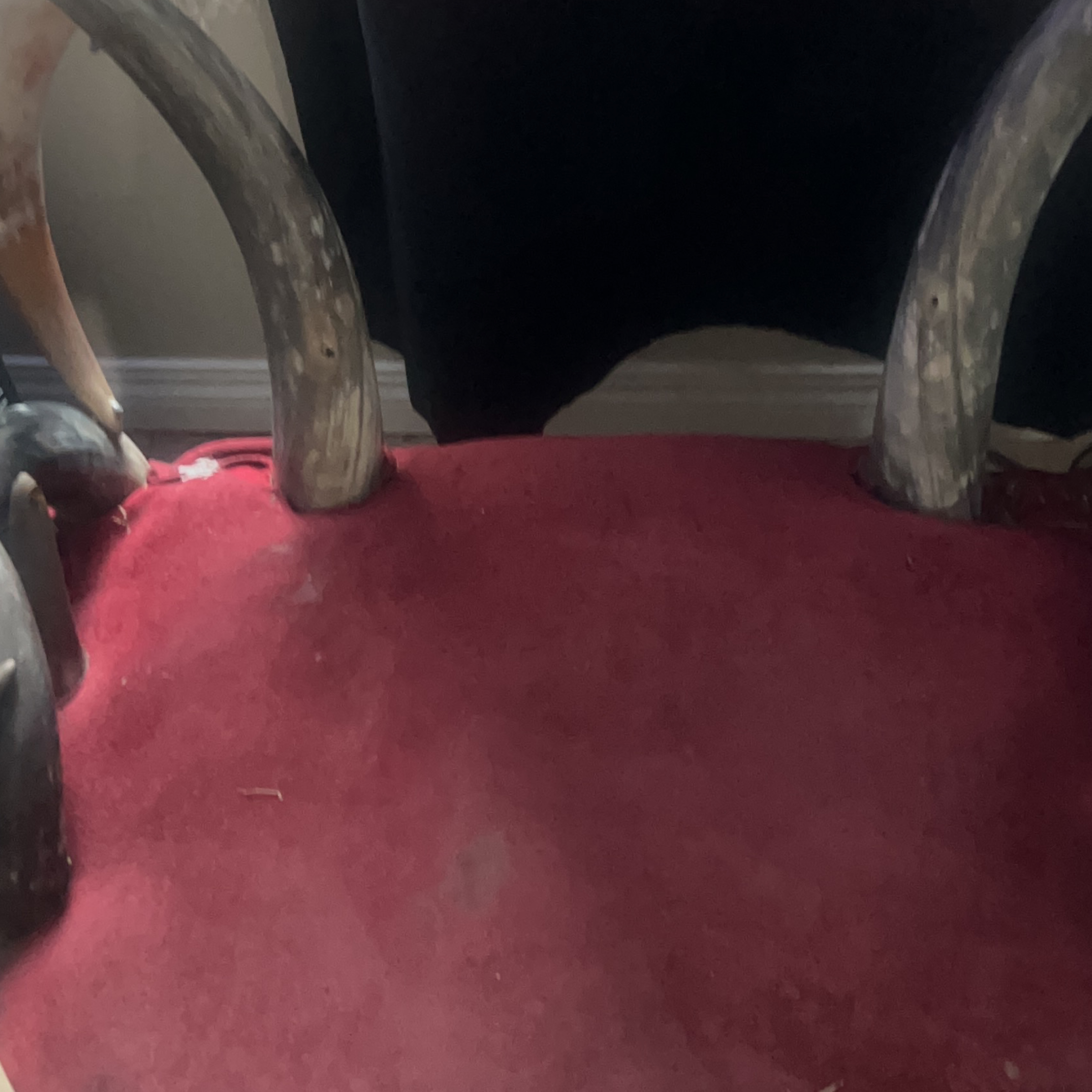 Red Horn Chair with Grey Legs thumbnail