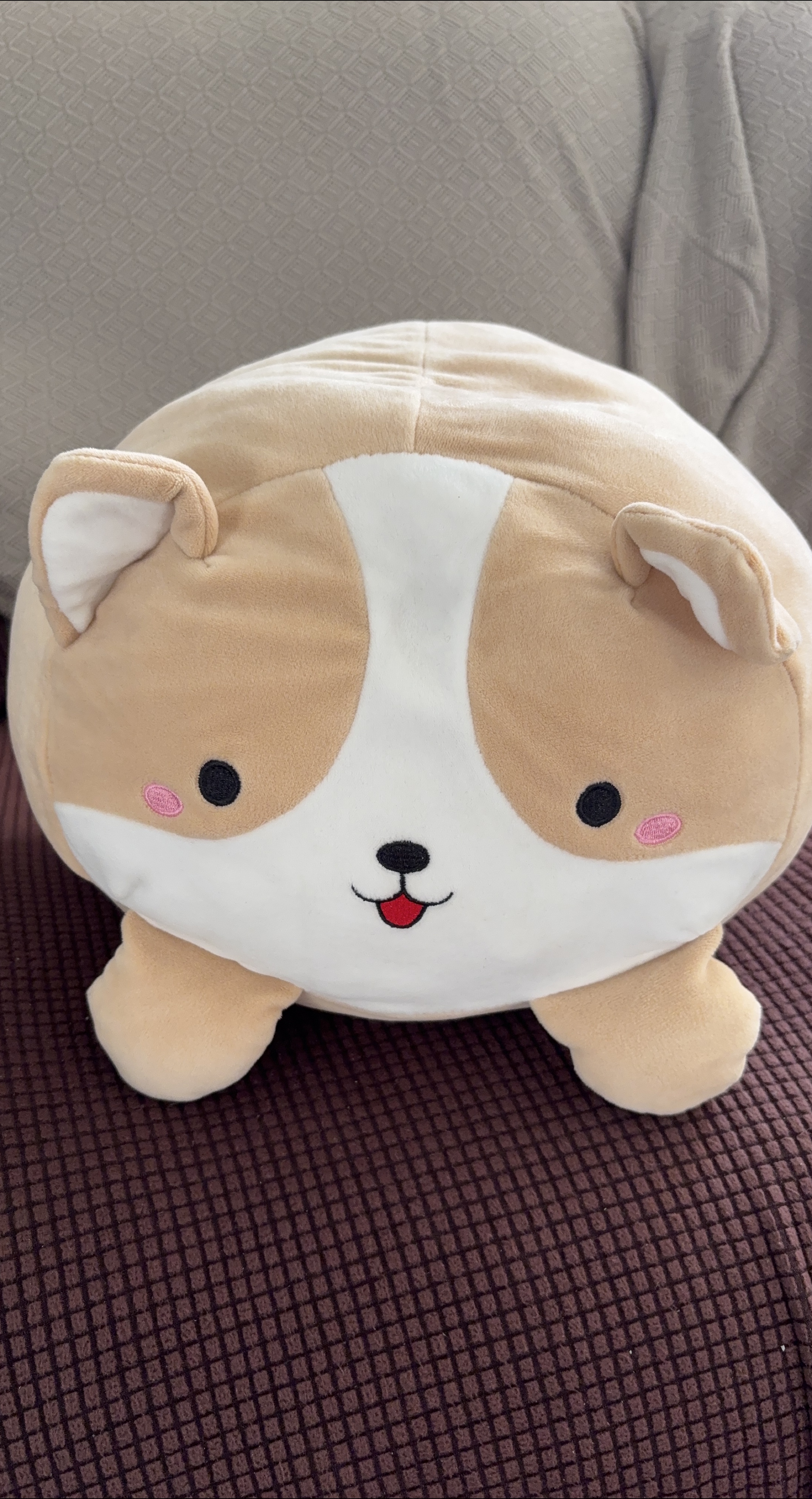 Corgi Plush Pillow