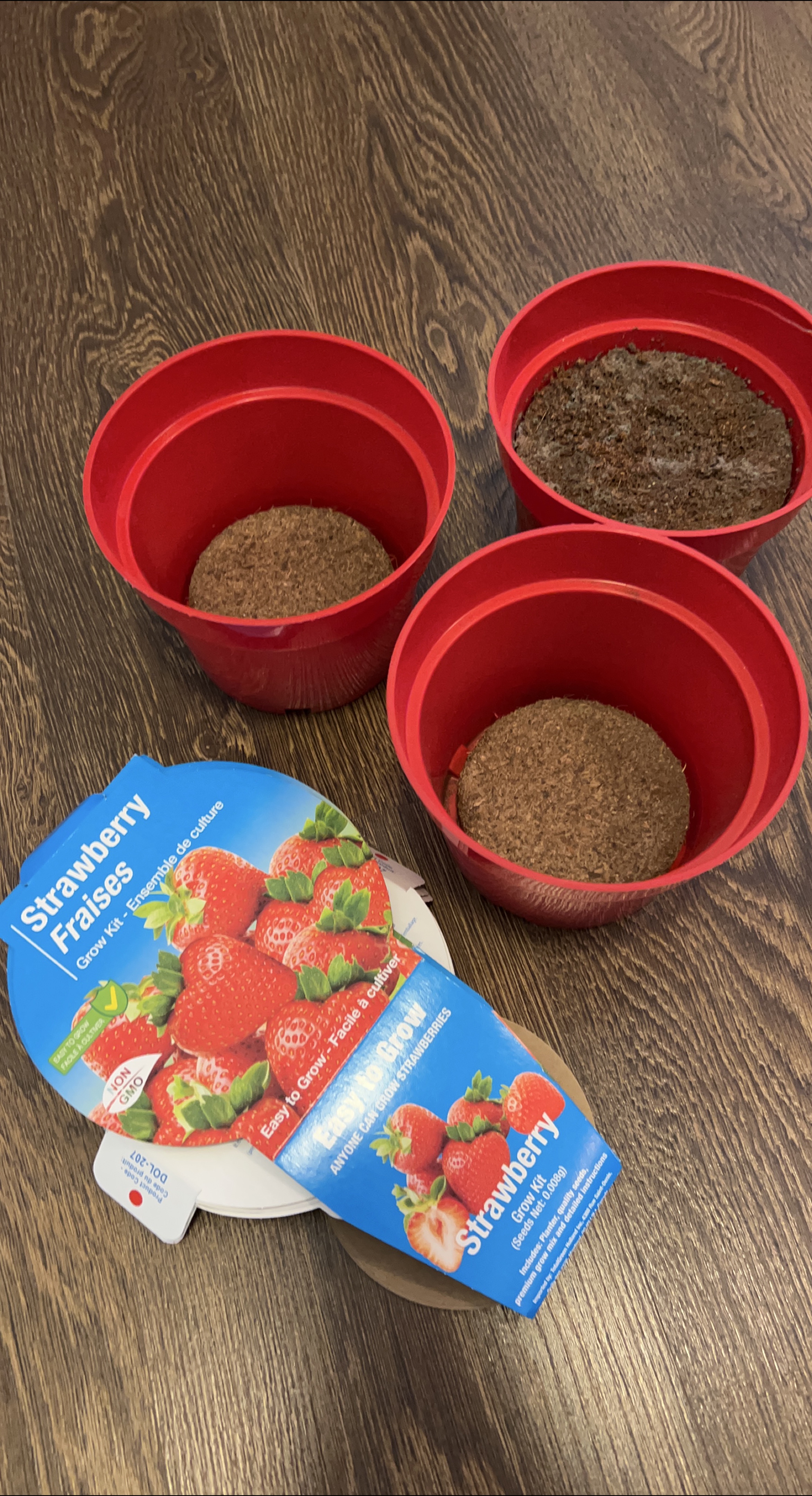 Grow kit soil & pots (no seeds) thumbnail
