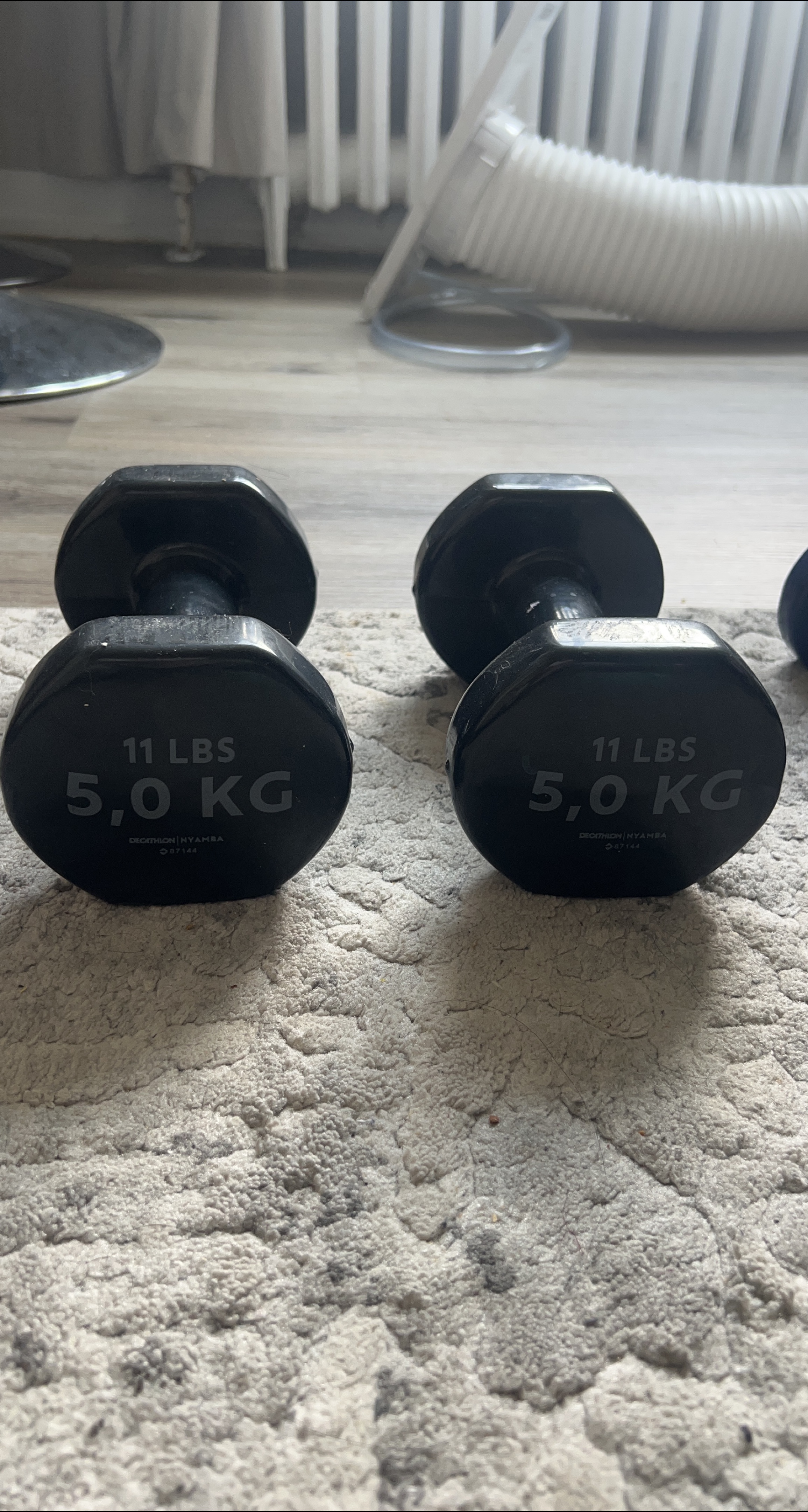 11 lb Dumbbells and 4,4lbs