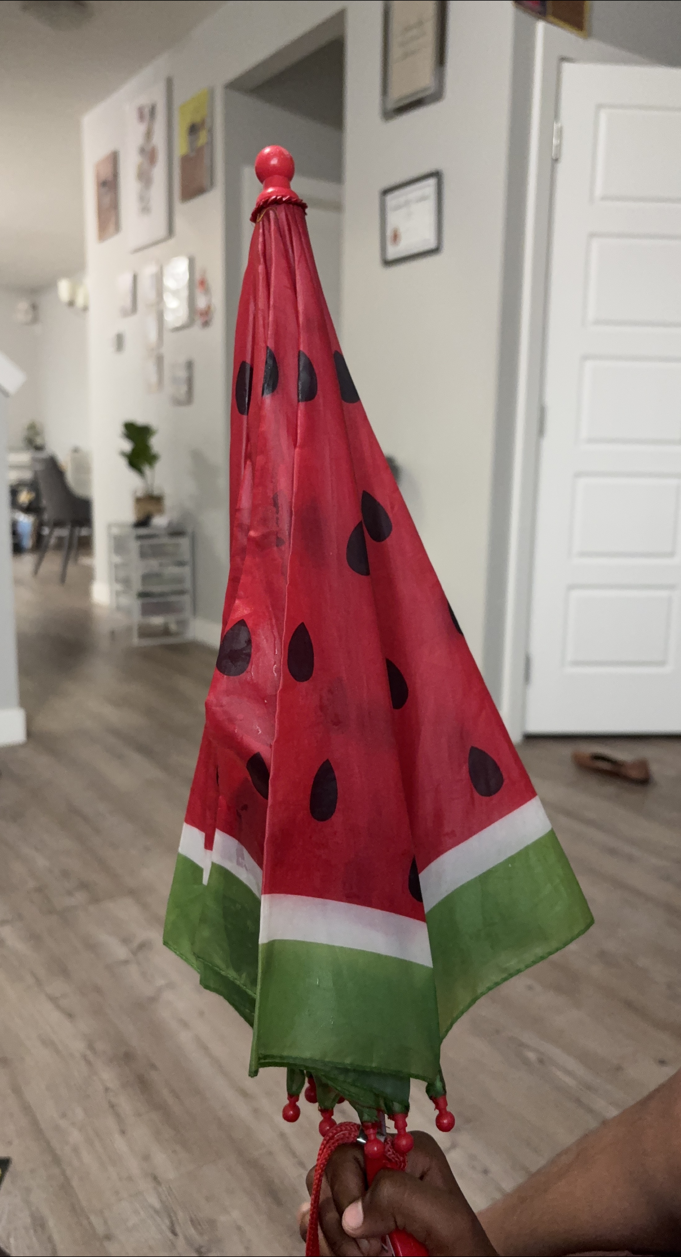 Watermelon-themed Umbrella thumbnail