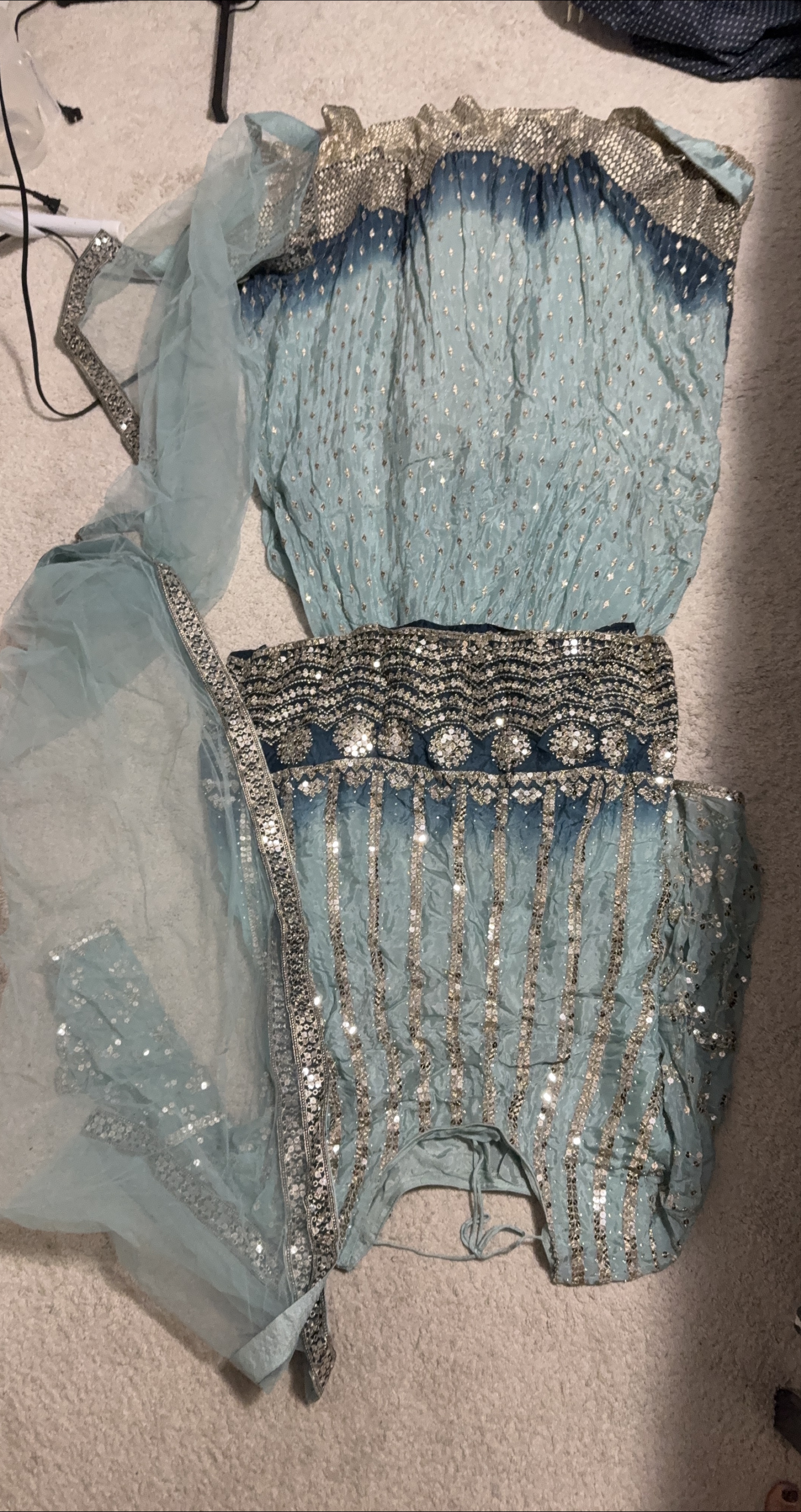 Light Blue Traditional Indian Outfit