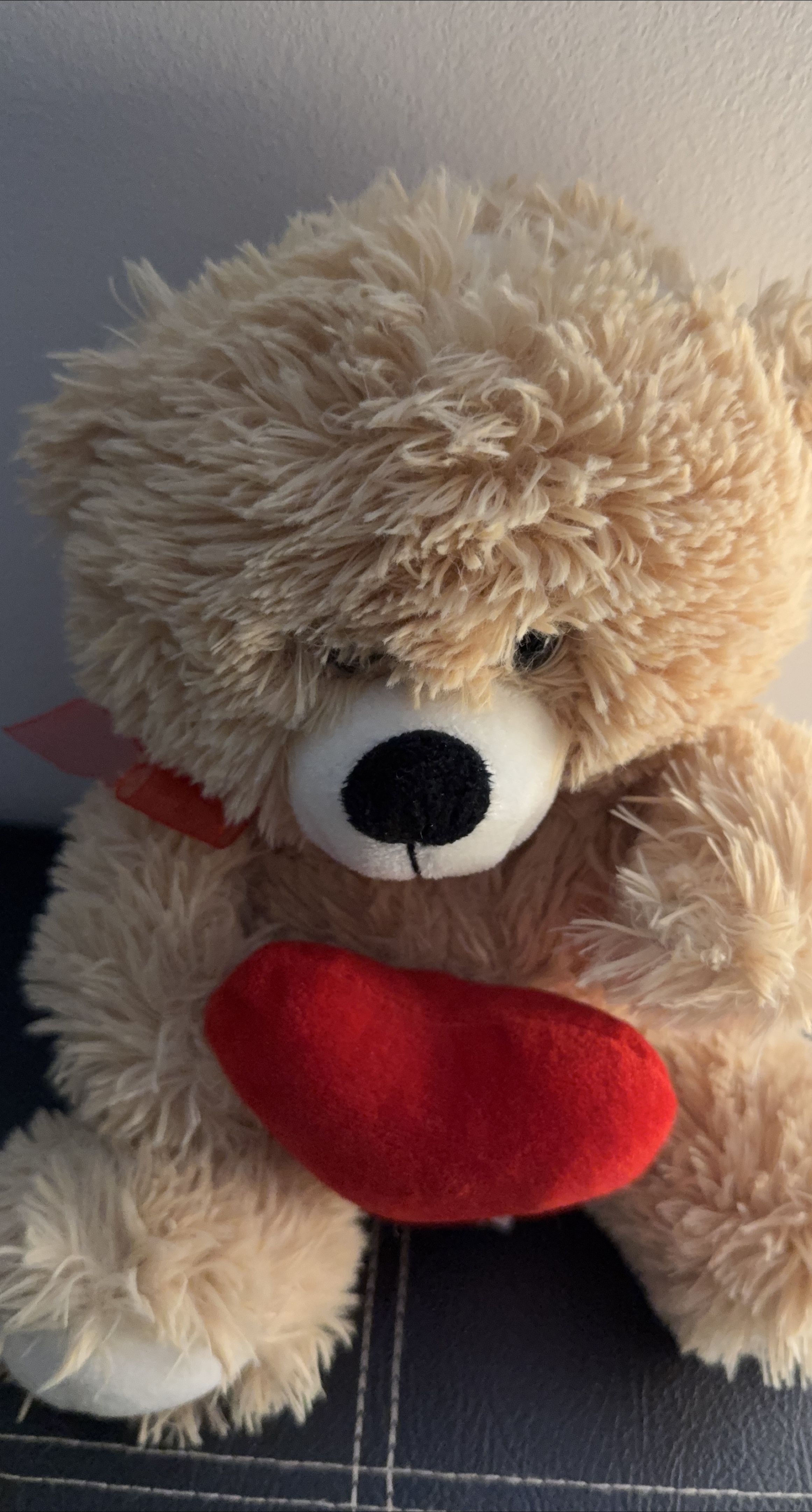 Teddy Bear with Heart thumbnail