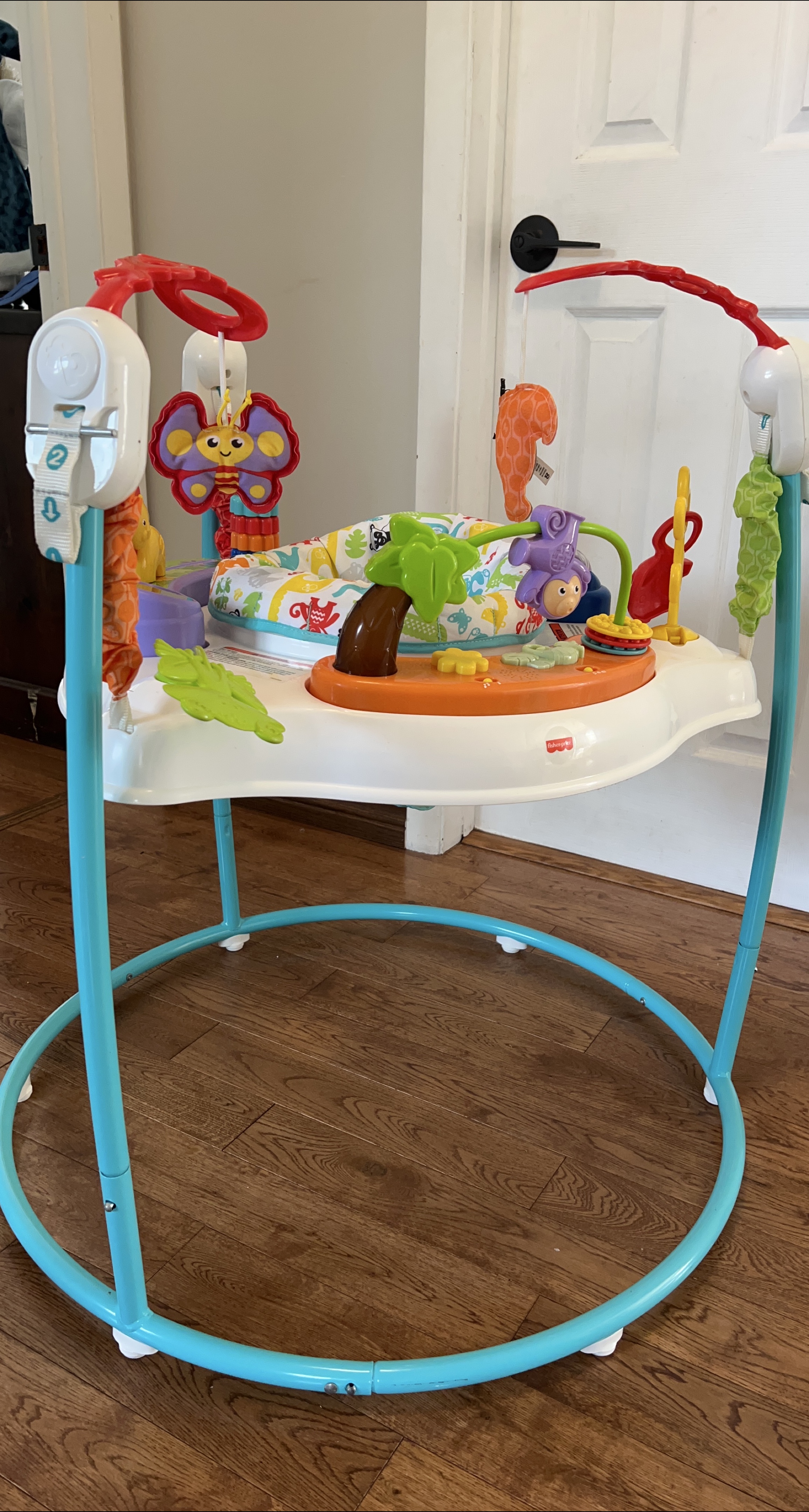 Fisher-Price Jumperoo with sounds and lights