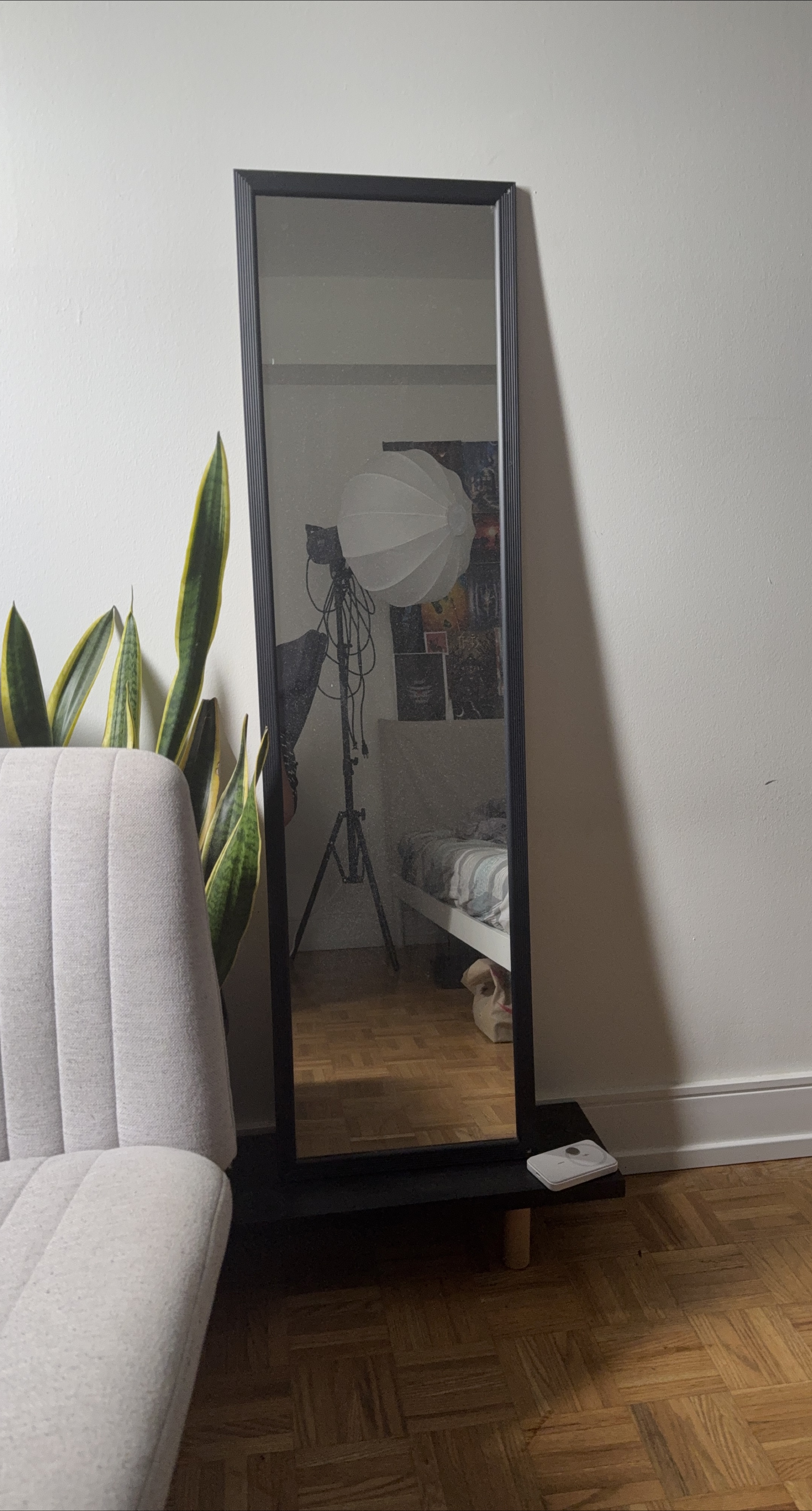 Full-Length Black Framed Mirror thumbnail