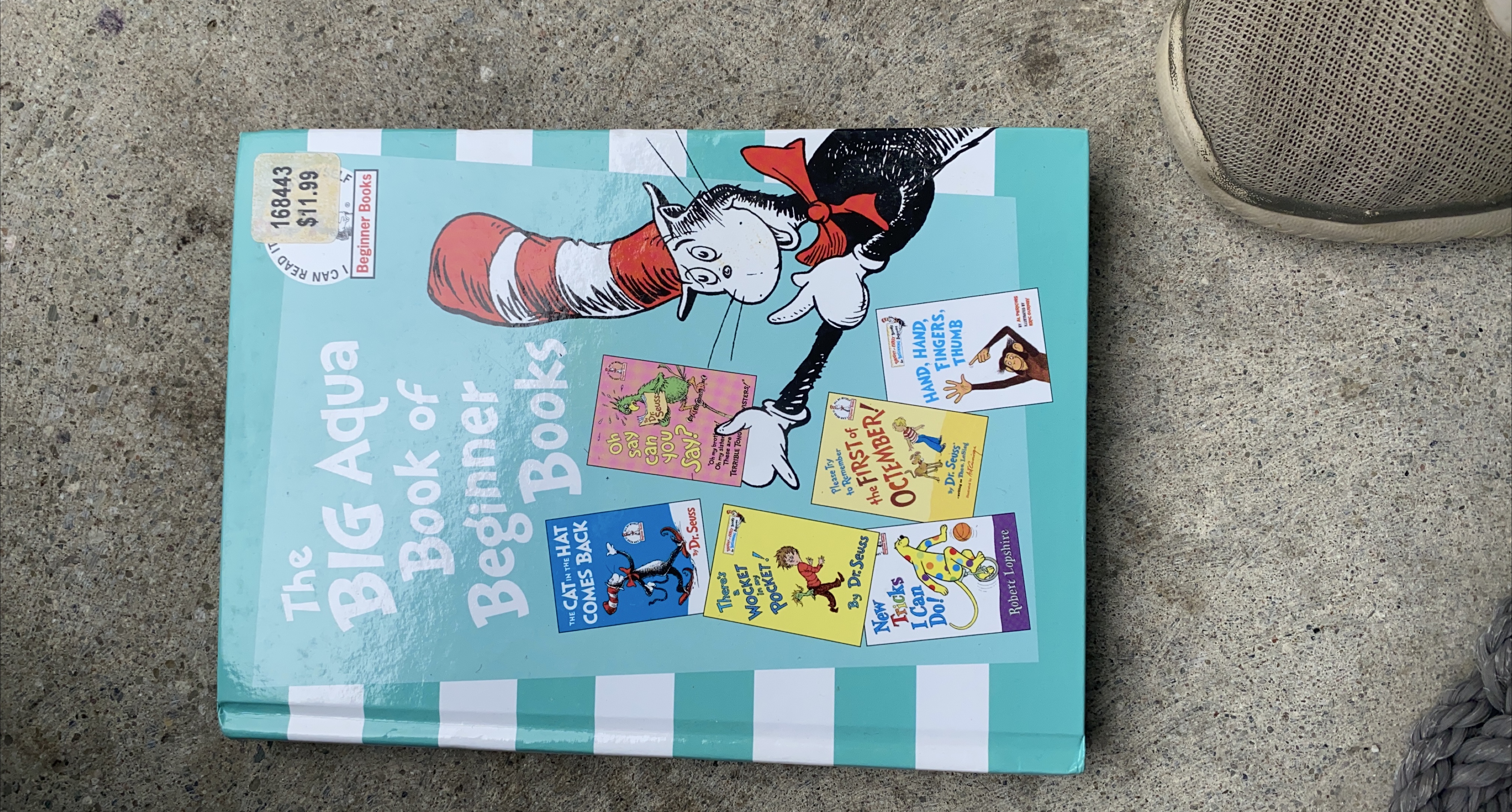 The Big Aqua Book of Beginner Books thumbnail