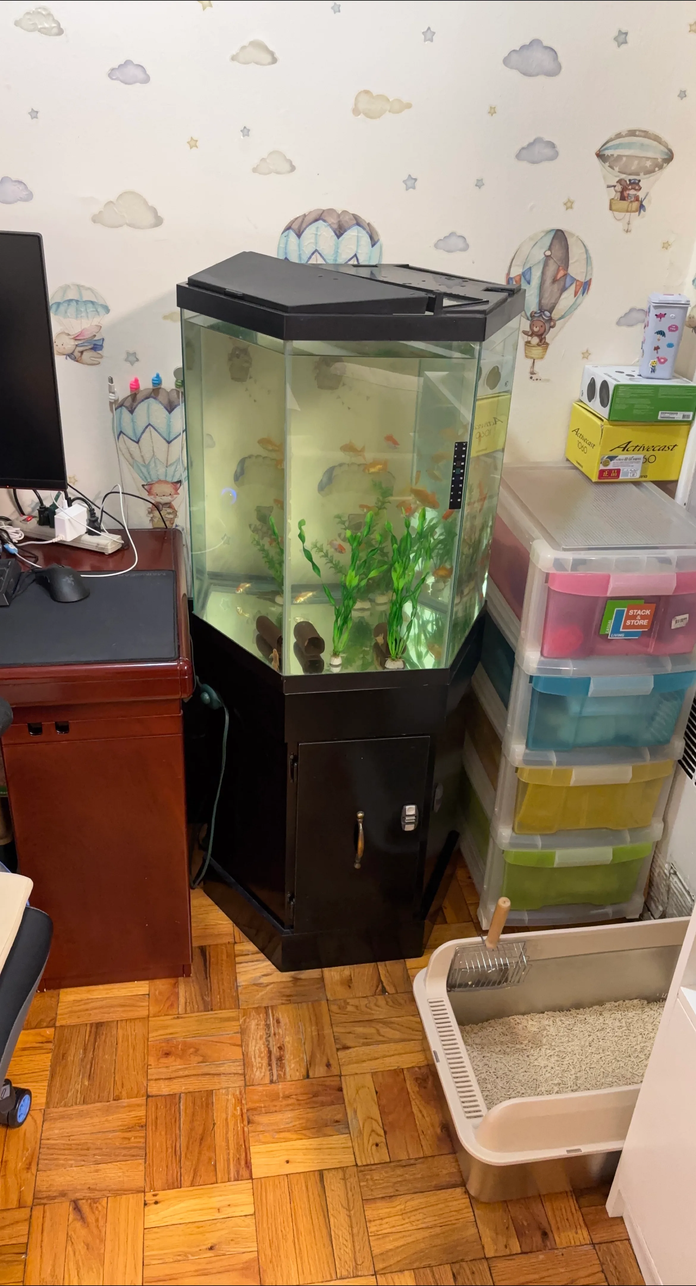Hexagon Fish Tank with Cabinet