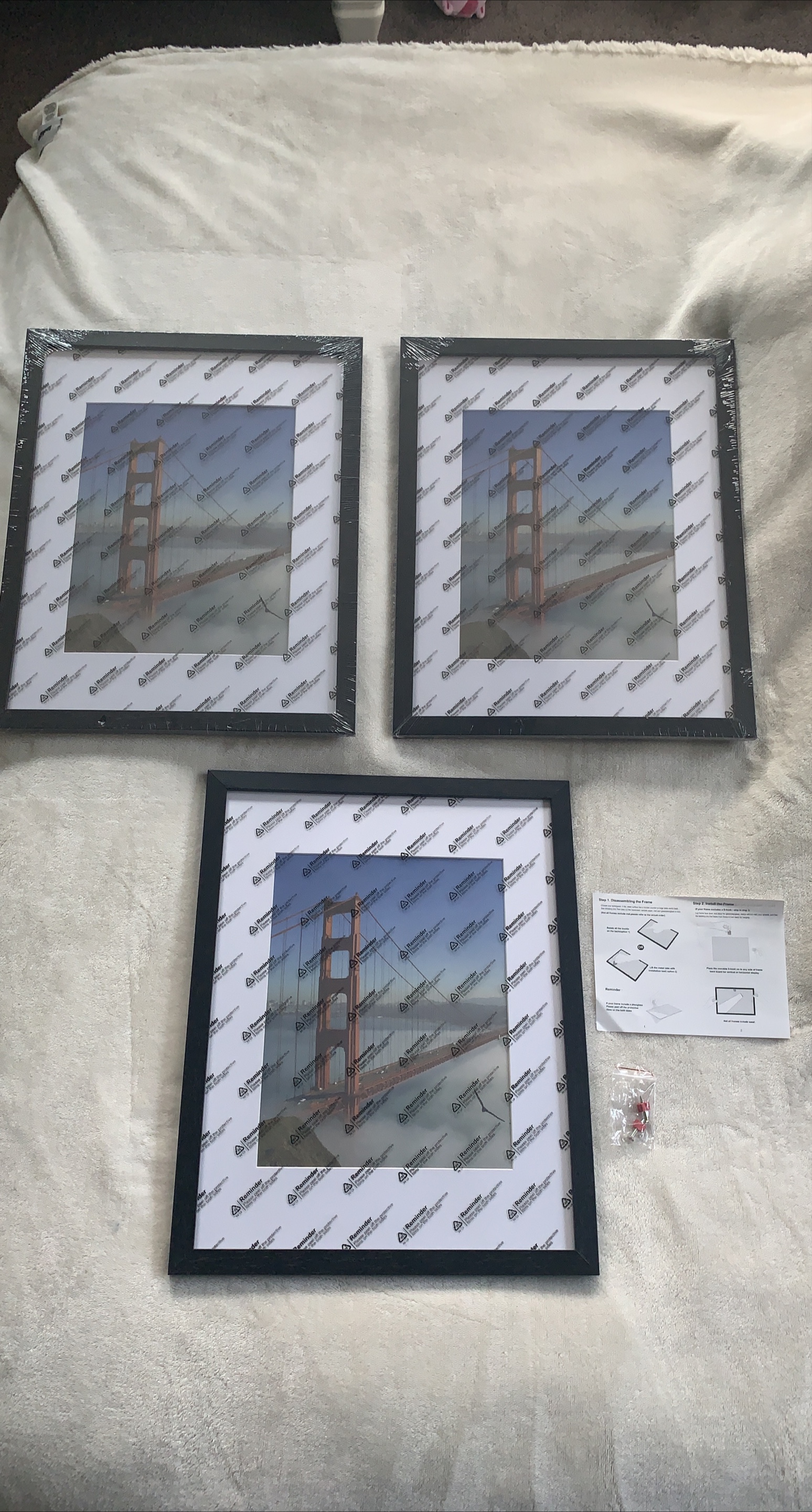 Set of 3 Reminder Brand Picture Frames thumbnail