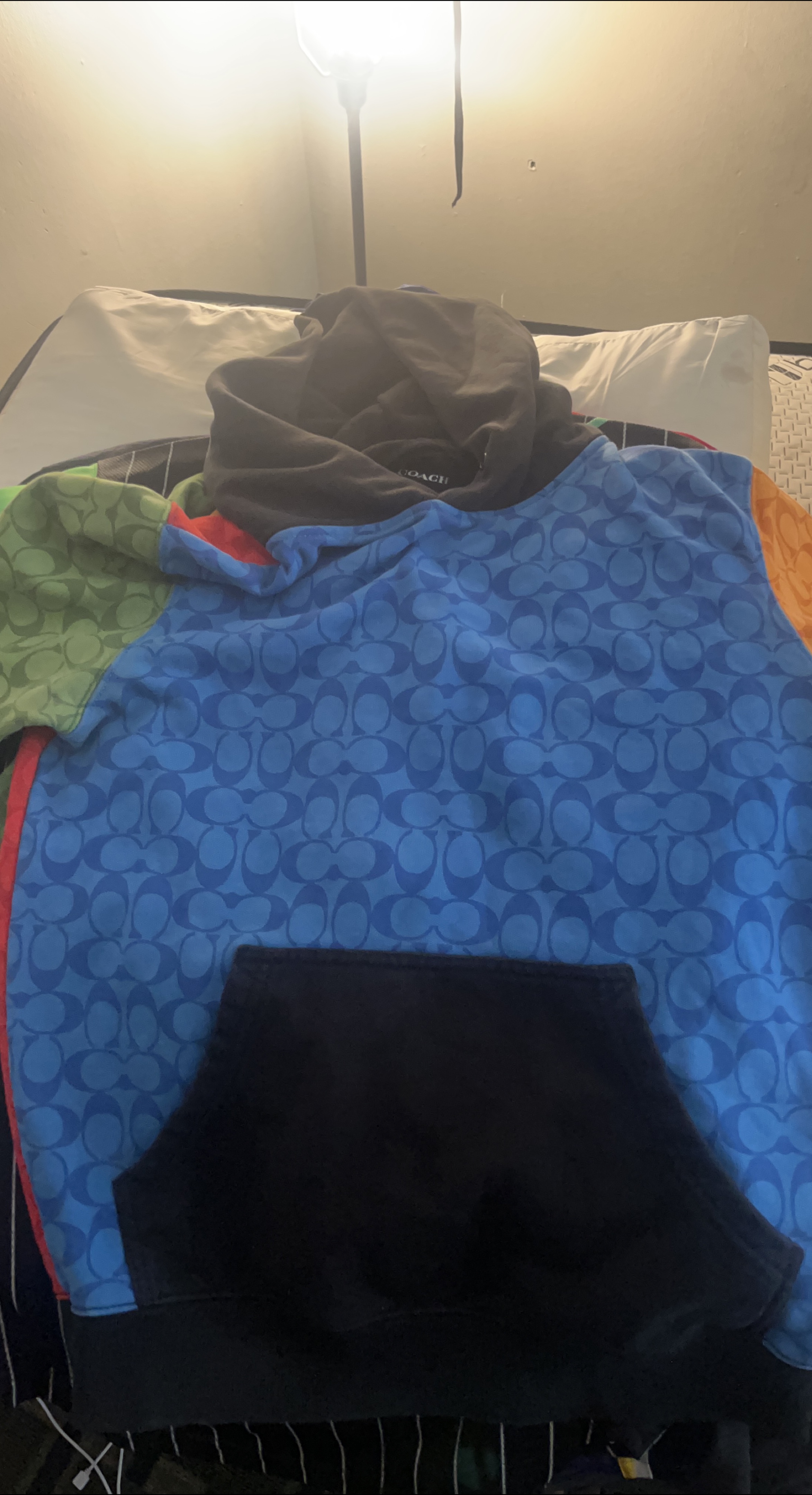 Coach Colorblock Signature Hoodie thumbnail
