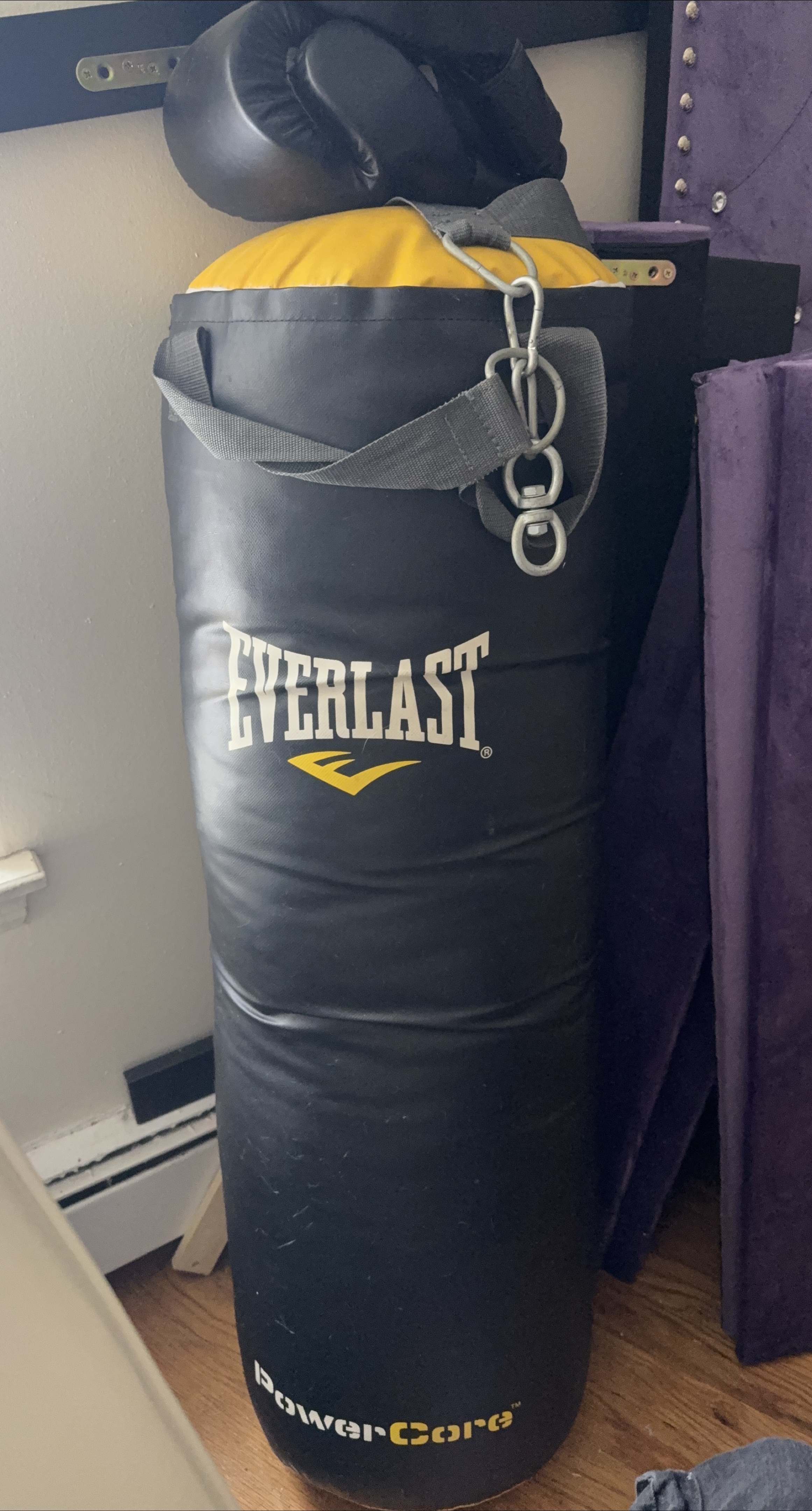 Everlast PowerCore  Punching Bag