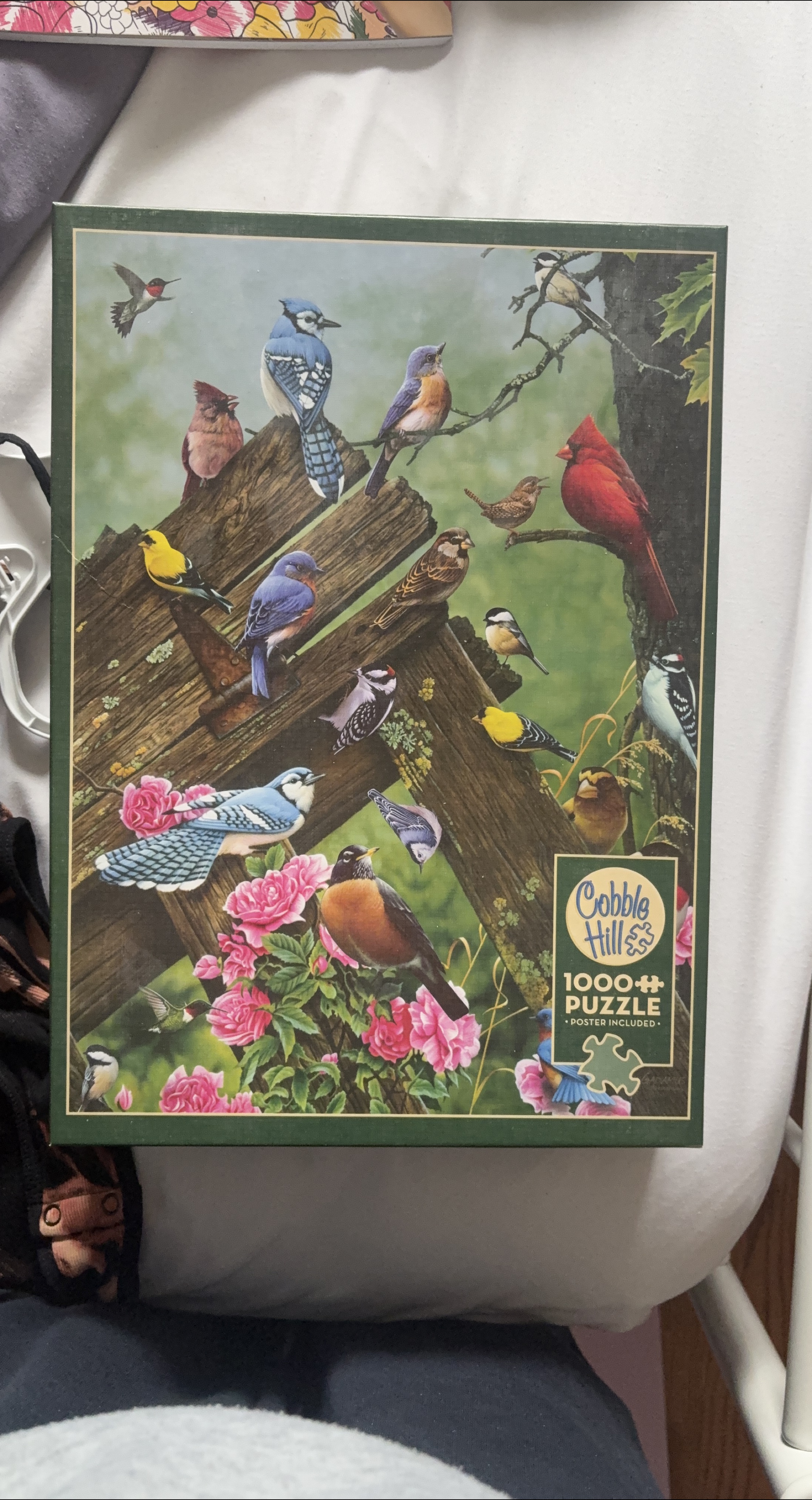 Cobble Hill 1000+ Piece Jigsaw Puzzle thumbnail