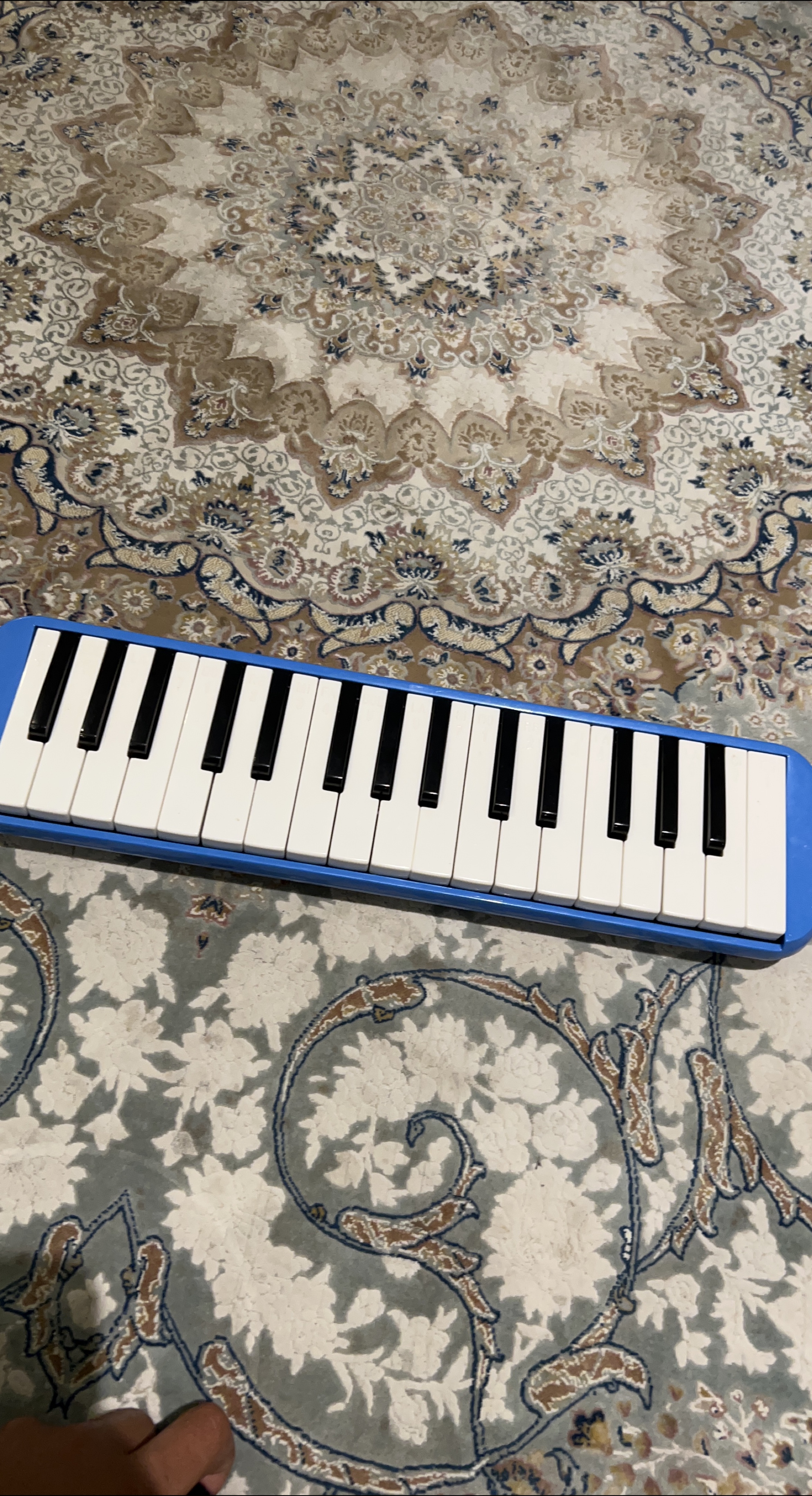 Blue Melodica Instrument thumbnail