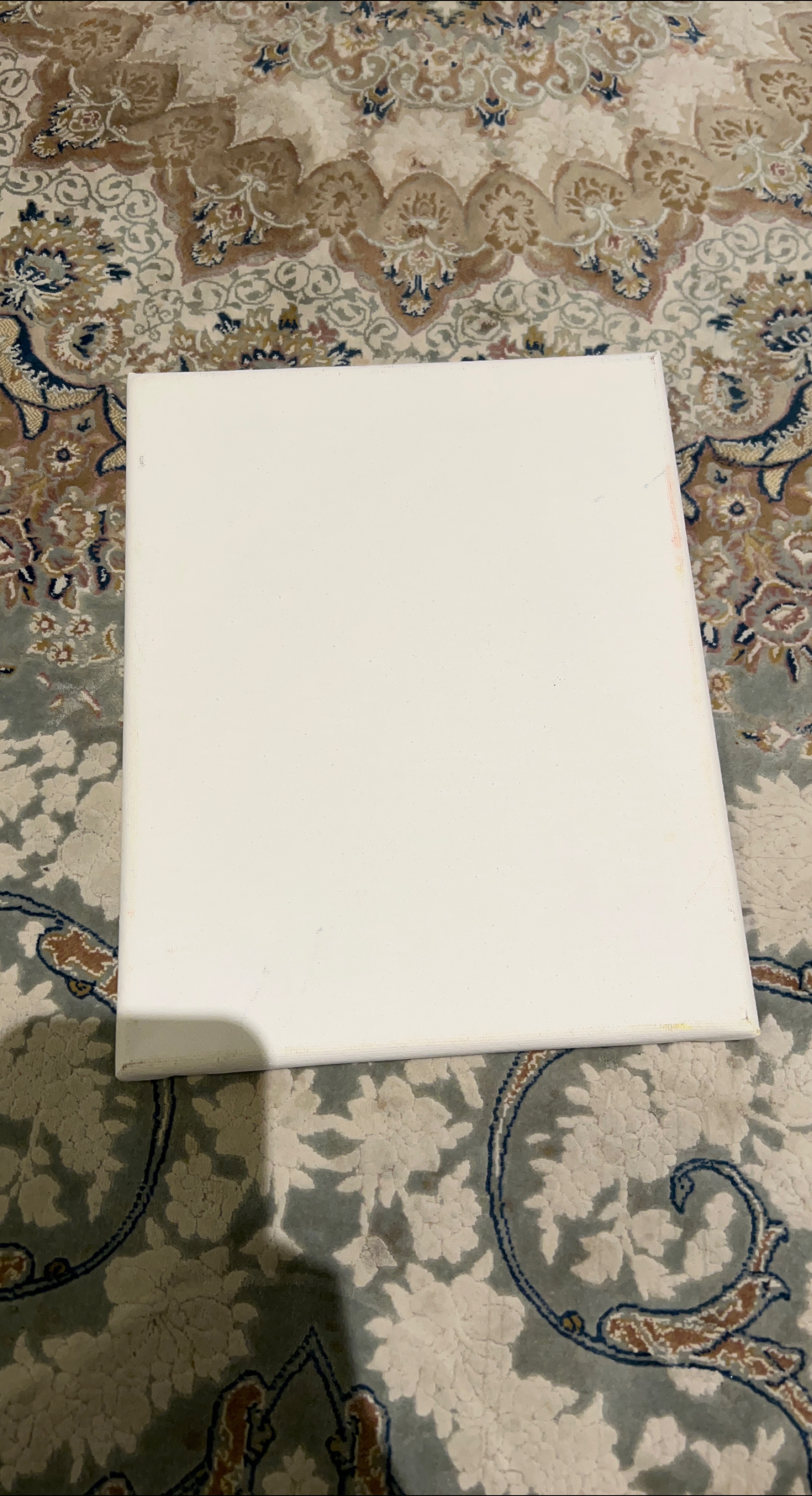 Blank White Canvas thumbnail